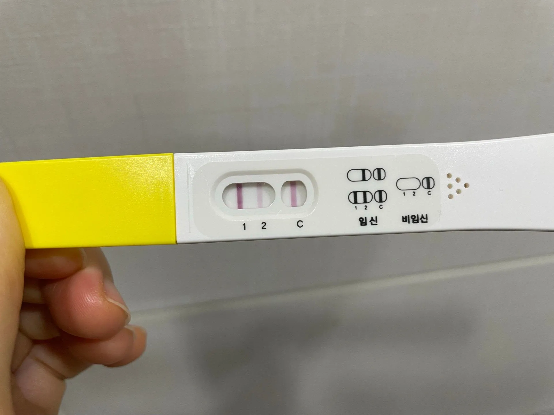 5주6일차 피비침