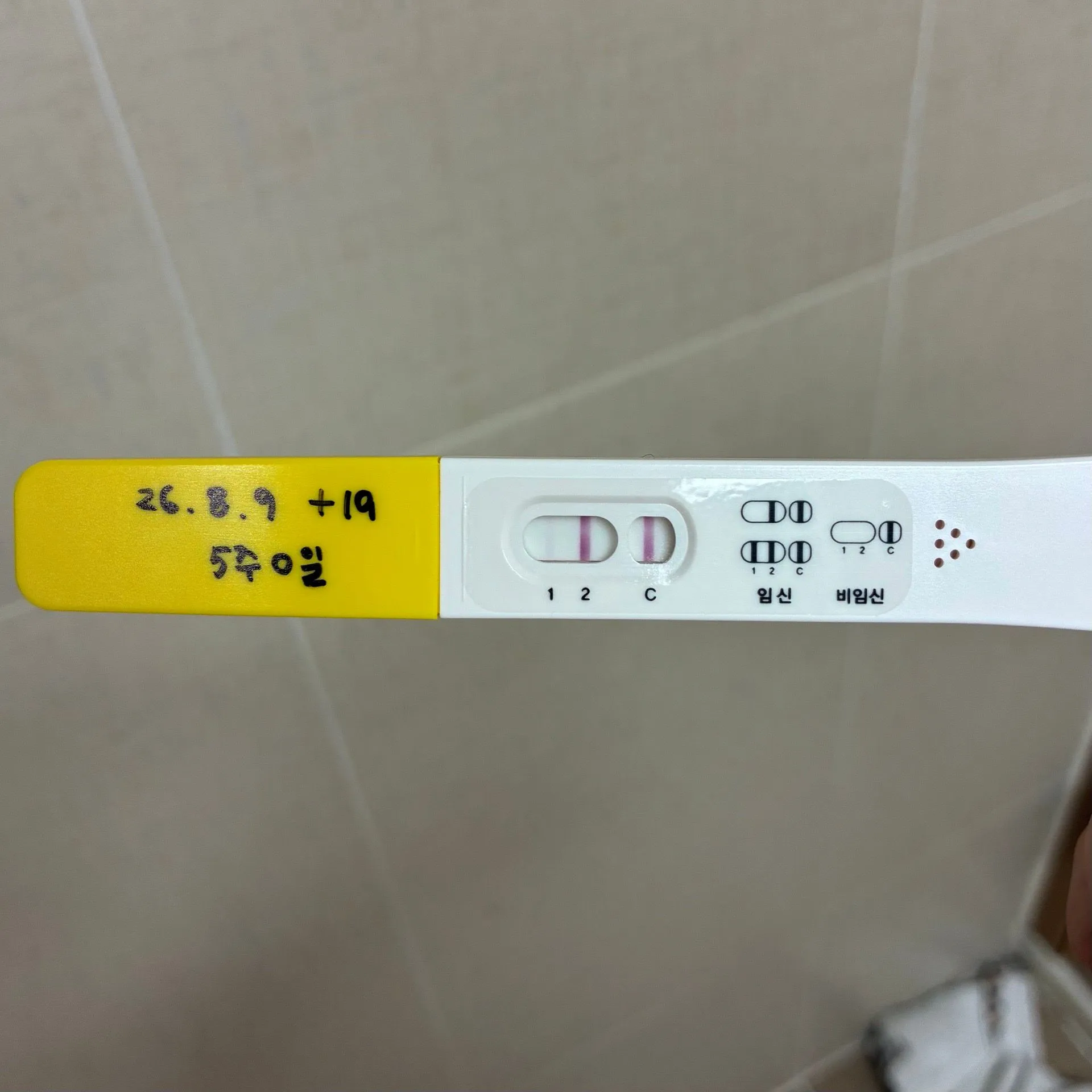 내일 아기집 보일까요? 1