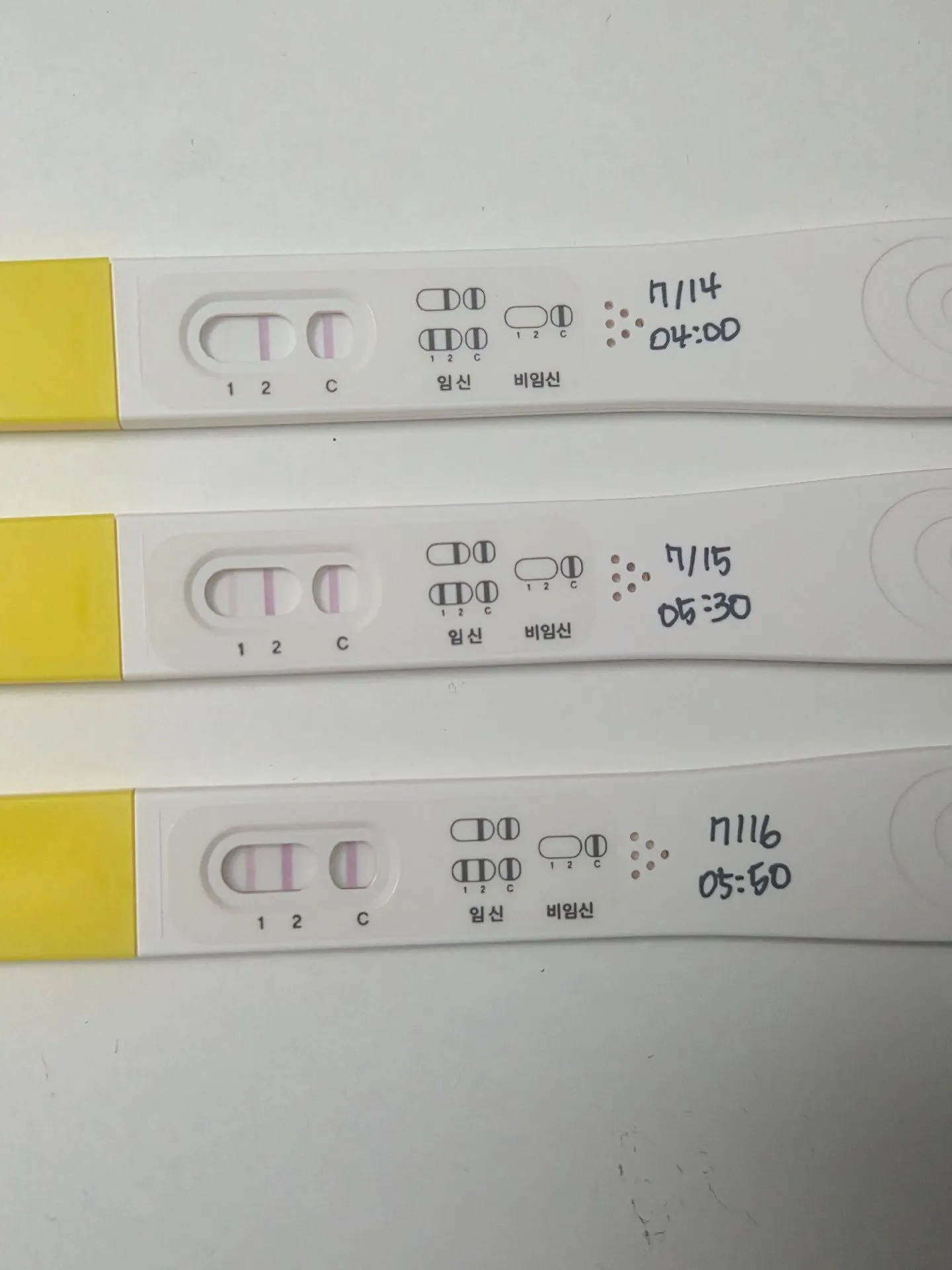 오늘 첫초음파가는데 쓰리임테기 결과