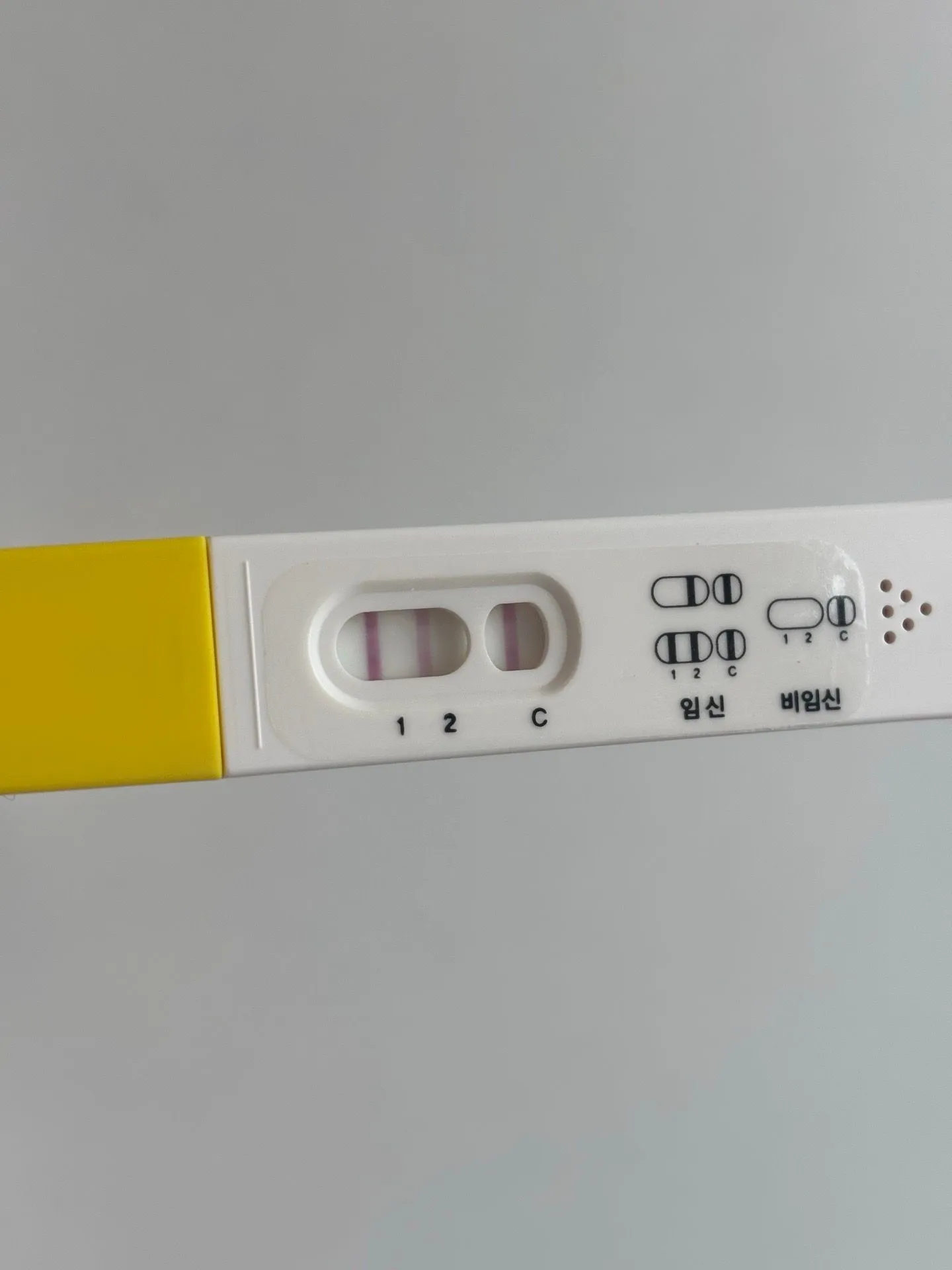 5주3일차에요 쓰리라인 봐주세용!