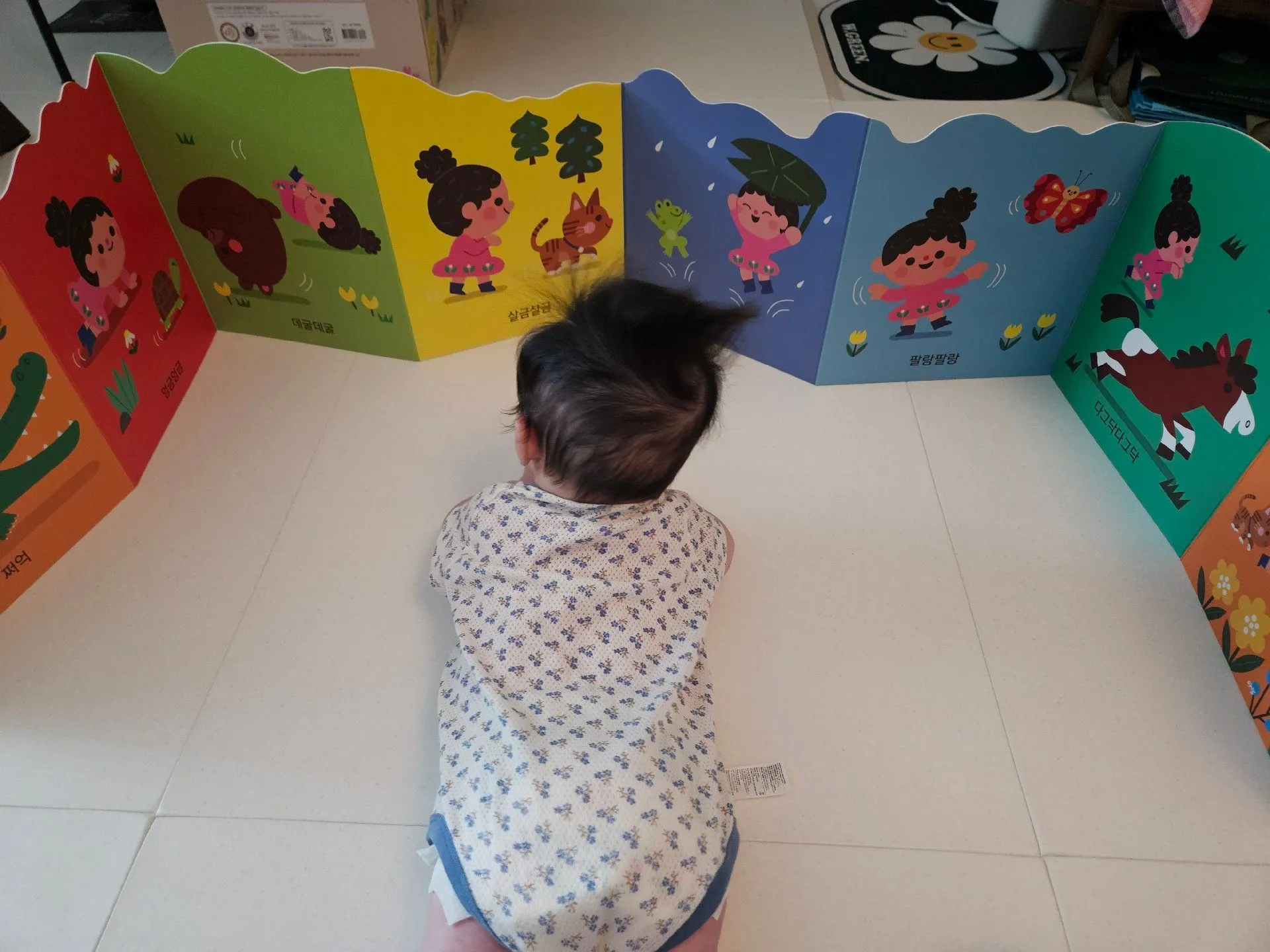 베이비올 아기 전집 구매 추천! 4
