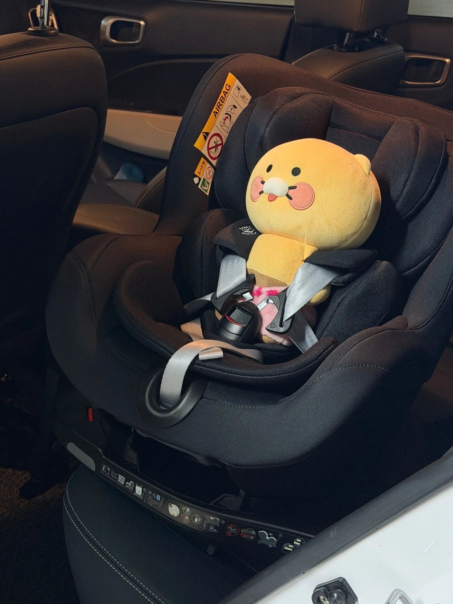 브라이텍스 듀얼픽스 프로 내돈내산했어용! 2