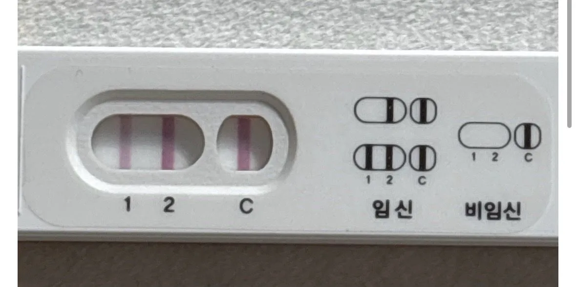 파이널체크 임테기 봐주세요... 1
