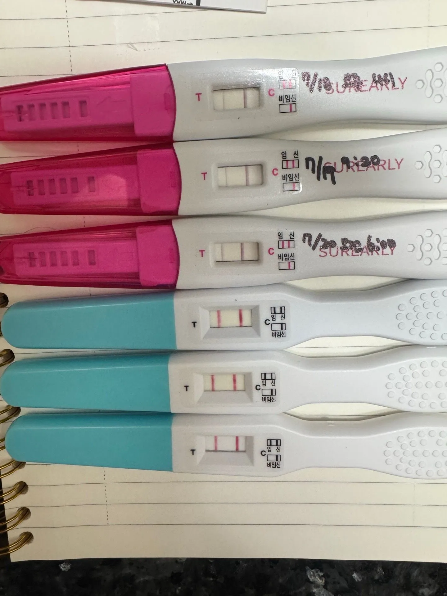 첫진료 봐도 될까요?!!