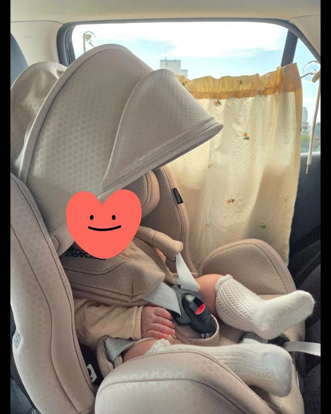레카로 제논 내돈내산 한달후기 3