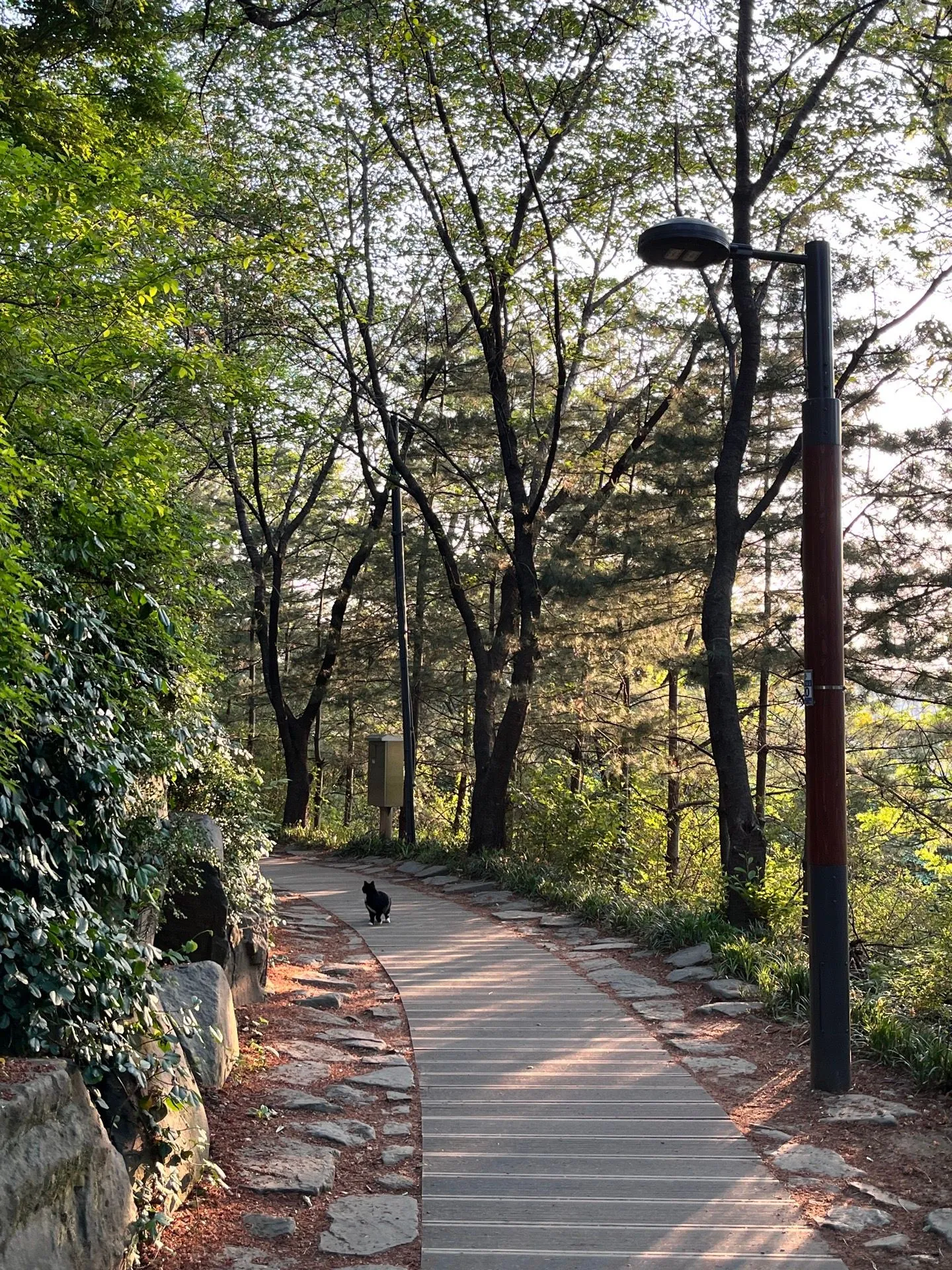 이벤트참여) 아이와 함께 할 5월을 꿈꾸며