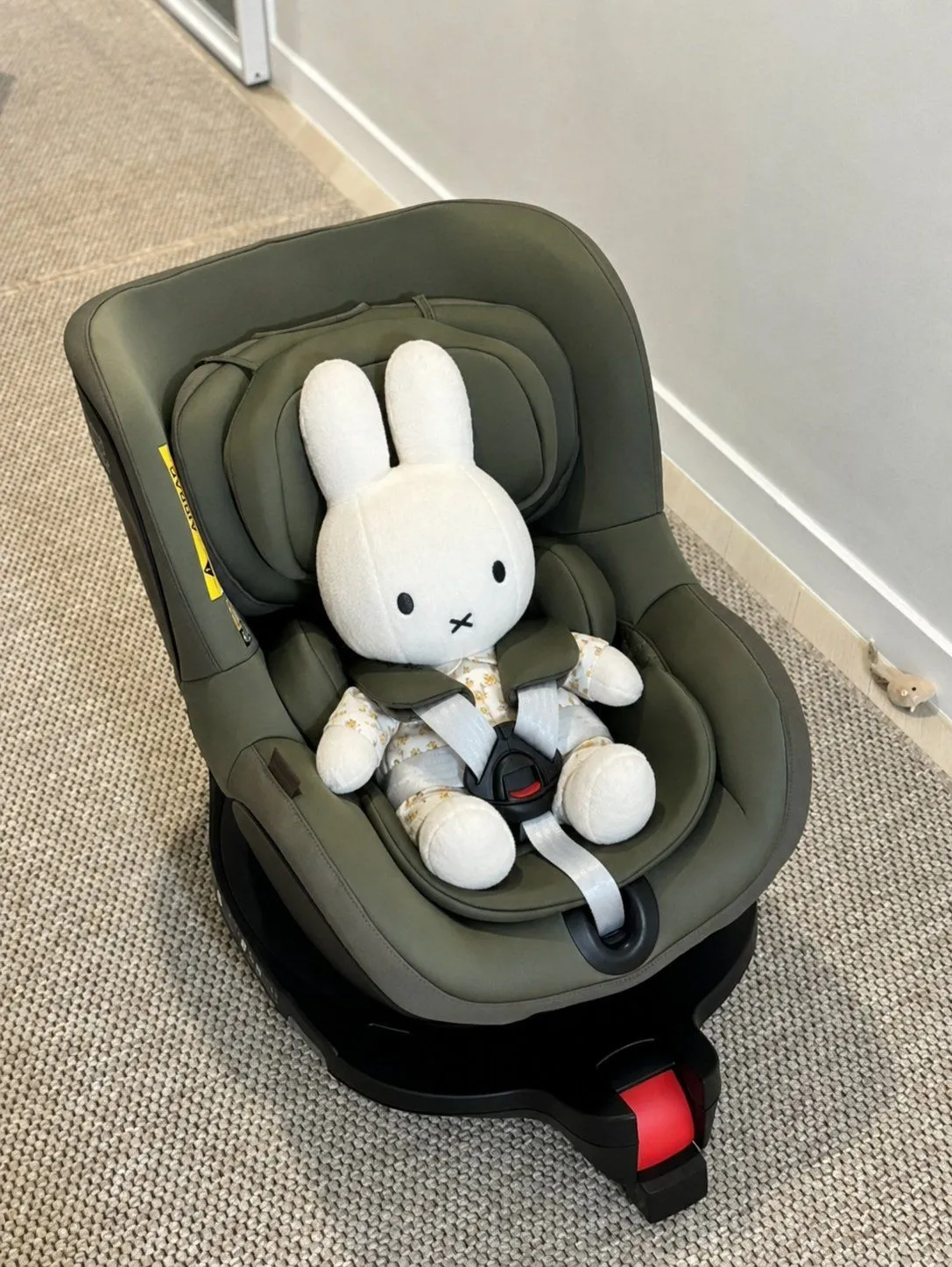 브라이텍스 듀얼 픽스 프로 럭스 어반 올리브(내돈내산) 2