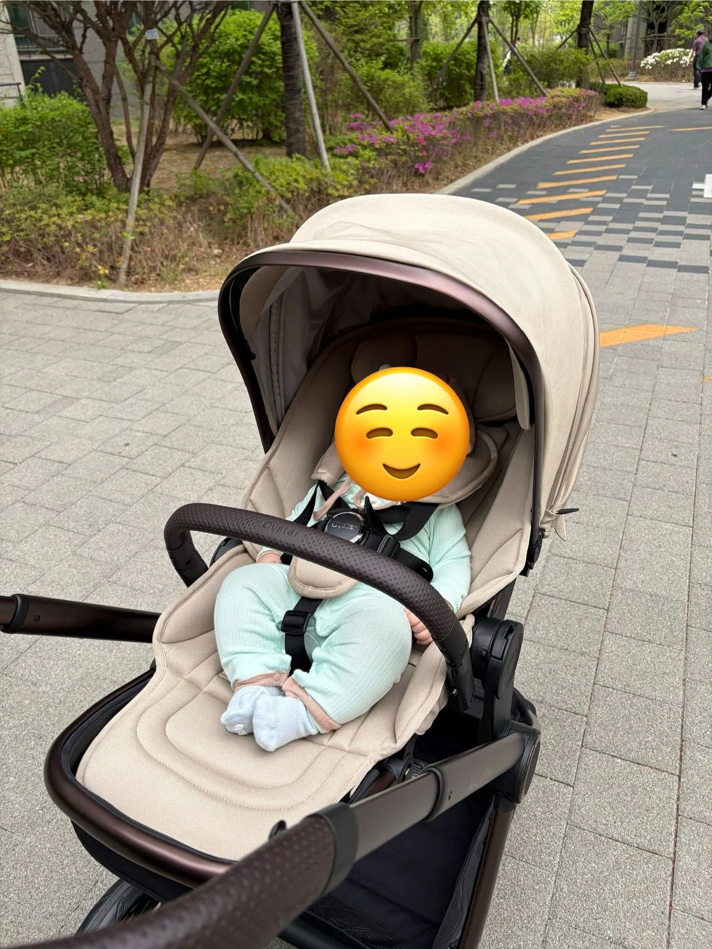 오이스터4 내돈내산 후기 3
