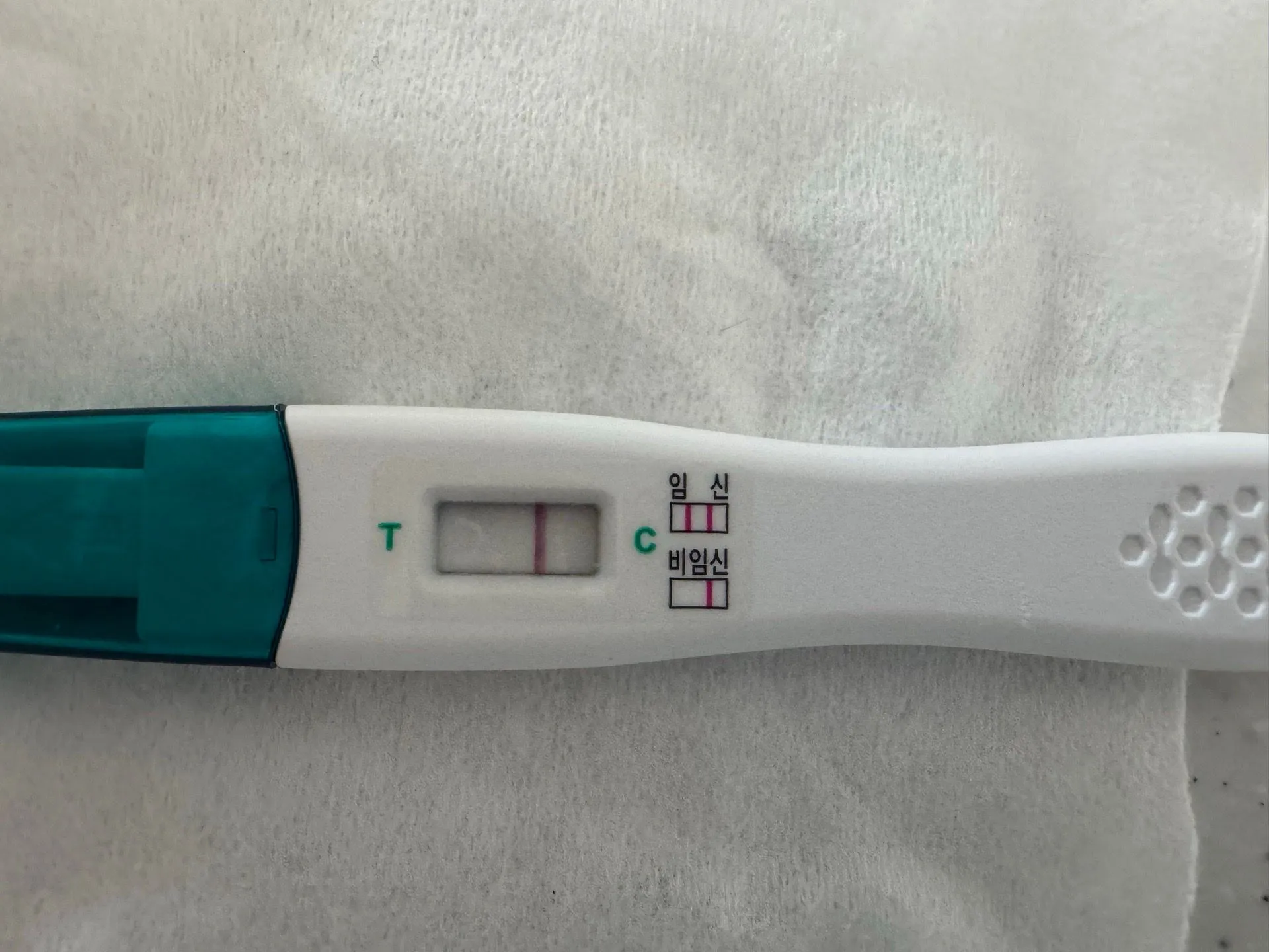 저 5일배양 오늘 6일차시작되는 아침!  테스터기 봐주세요 1