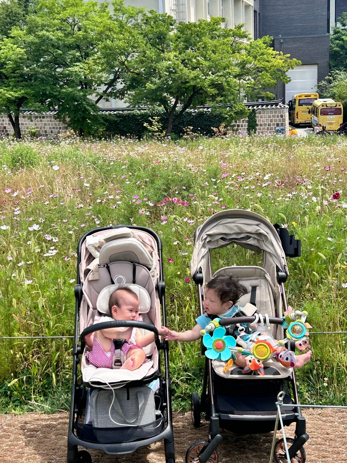 베페에서 직접 보고 구매한 오이스터 미니2 사용후기 3