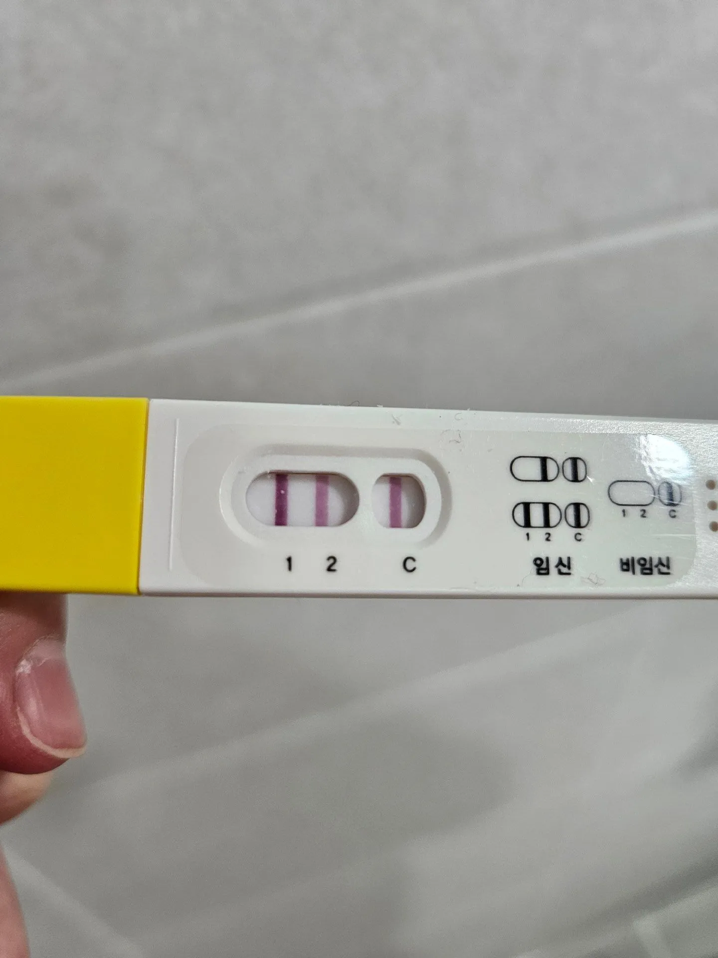 내일 심장소리 들으러가는데 들을 수 있겠죠?!
