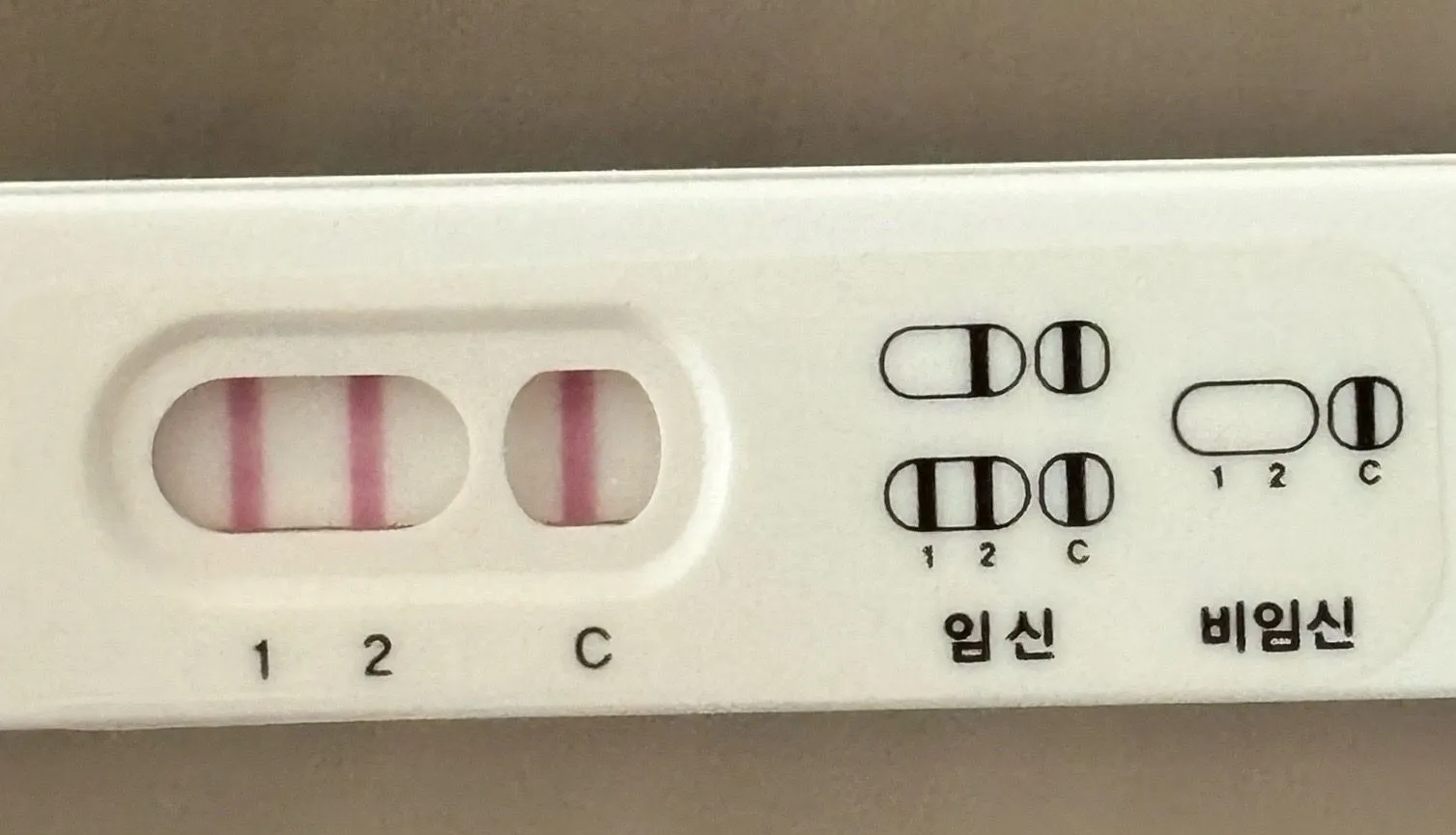 파이널체크 임테기 봐주세요... 2