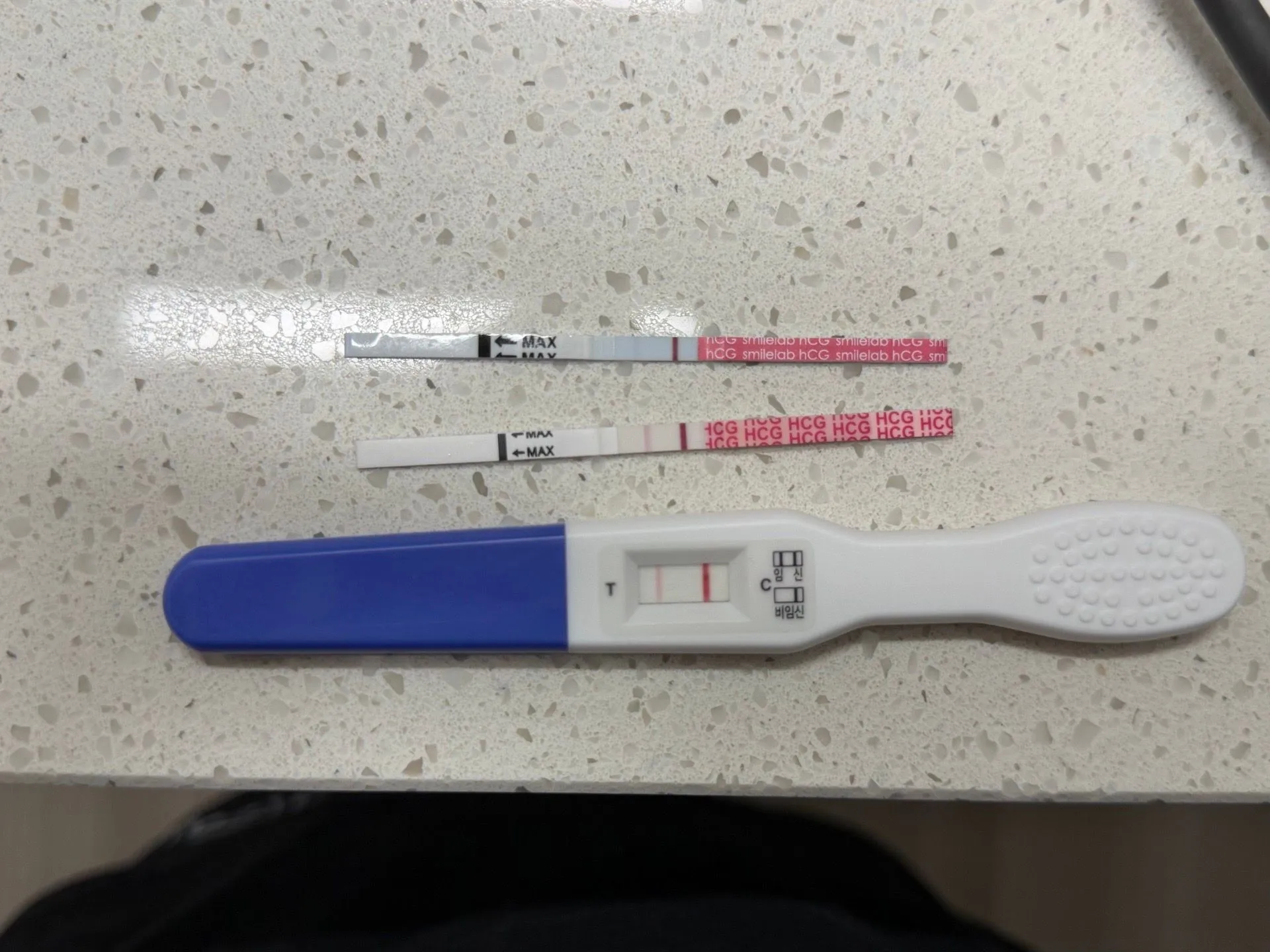 배란9일차 임테기
