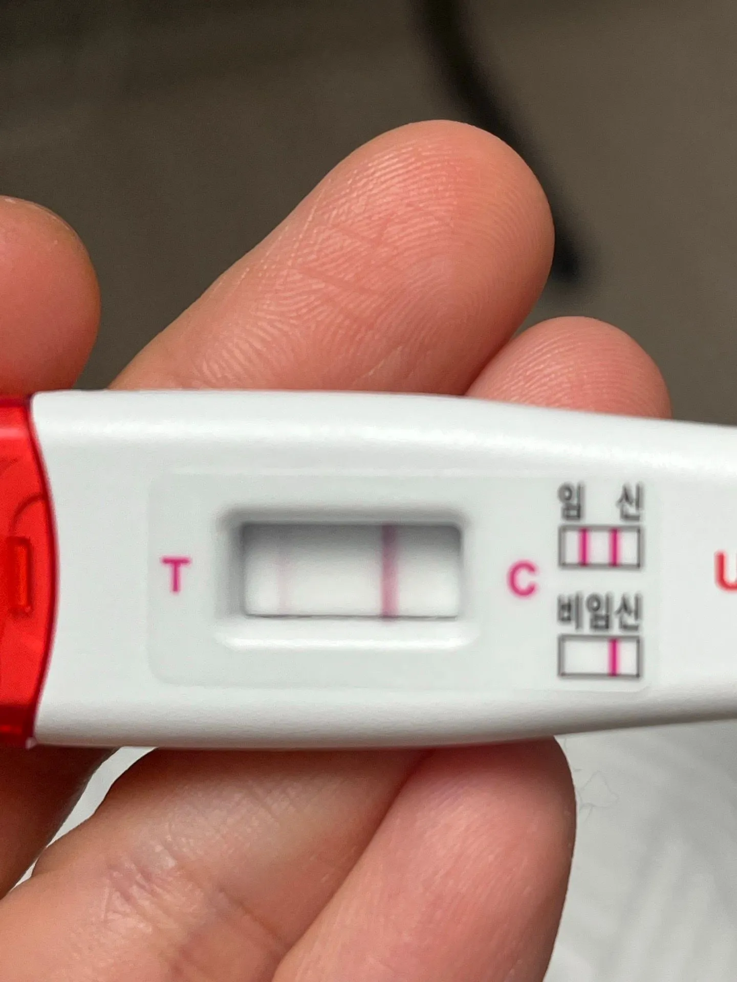 오늘 얼리 두줄봣어요