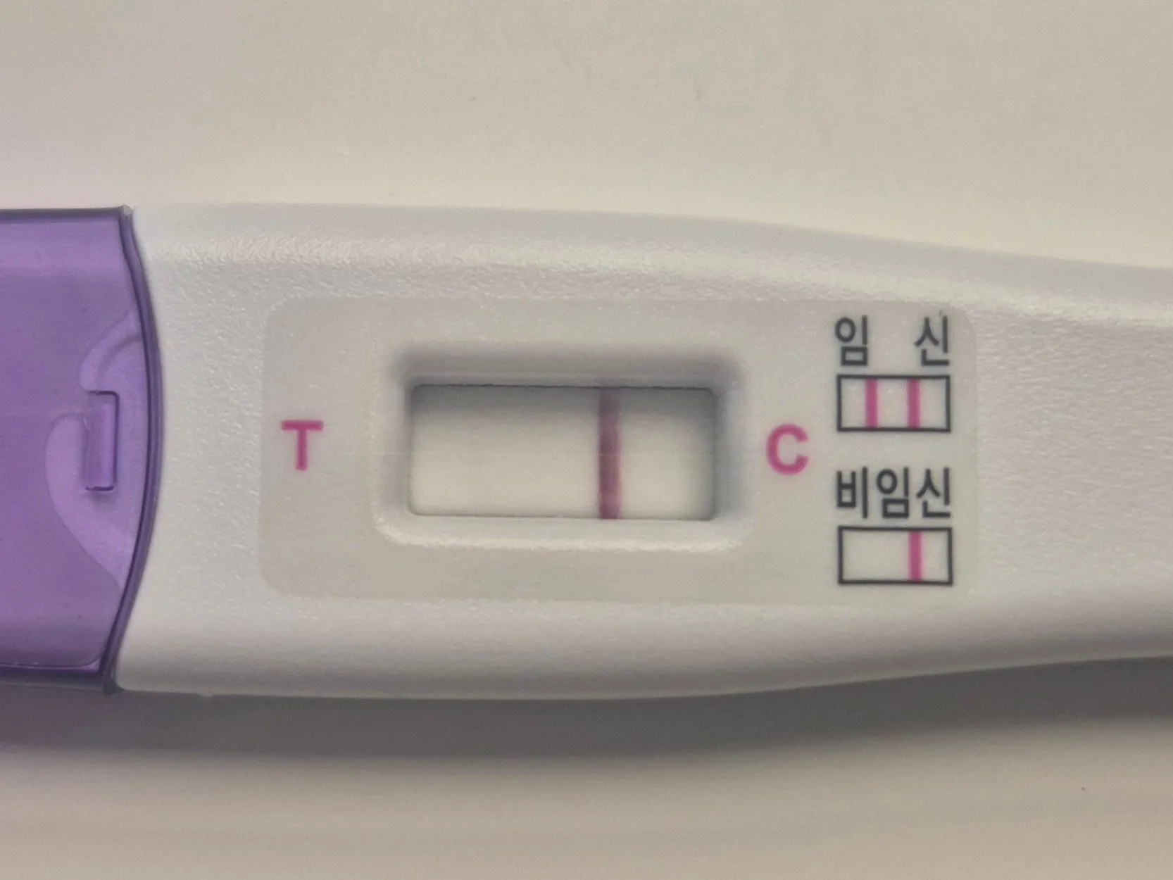 얼리테스트기 봐주세요 1