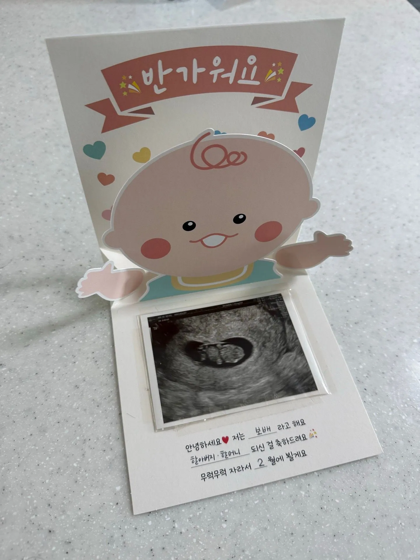 젤리곰 보고가세용 2