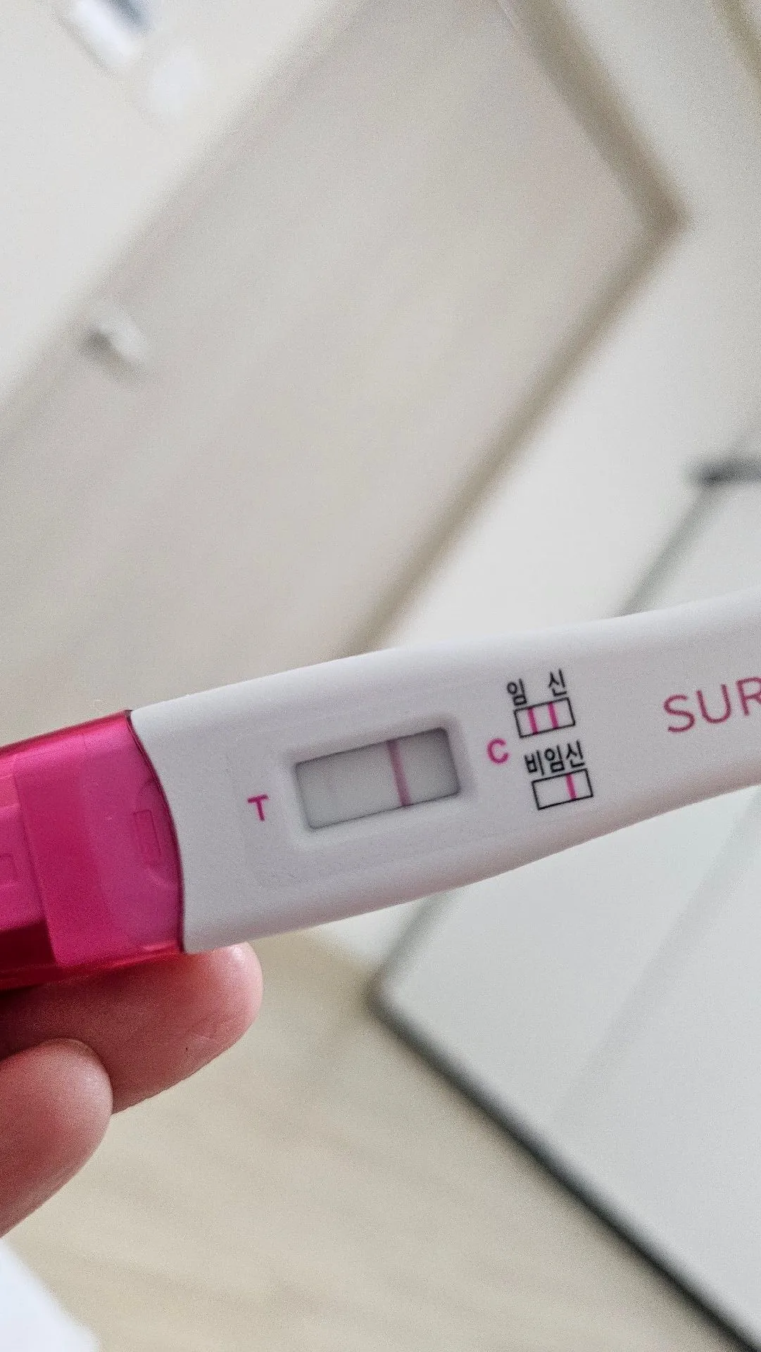 난포주사맞은지 11일차 2