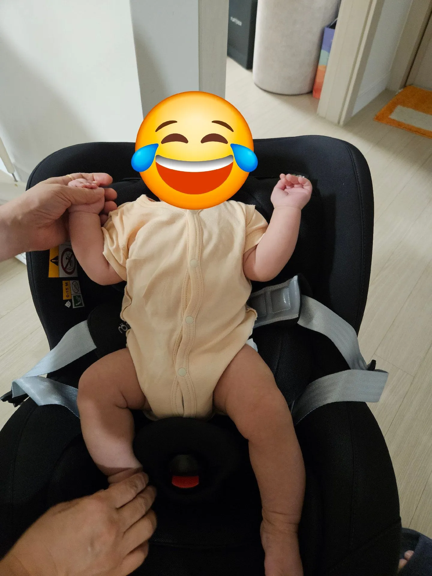 브라이텍스 카시트 내돈내산후기 4