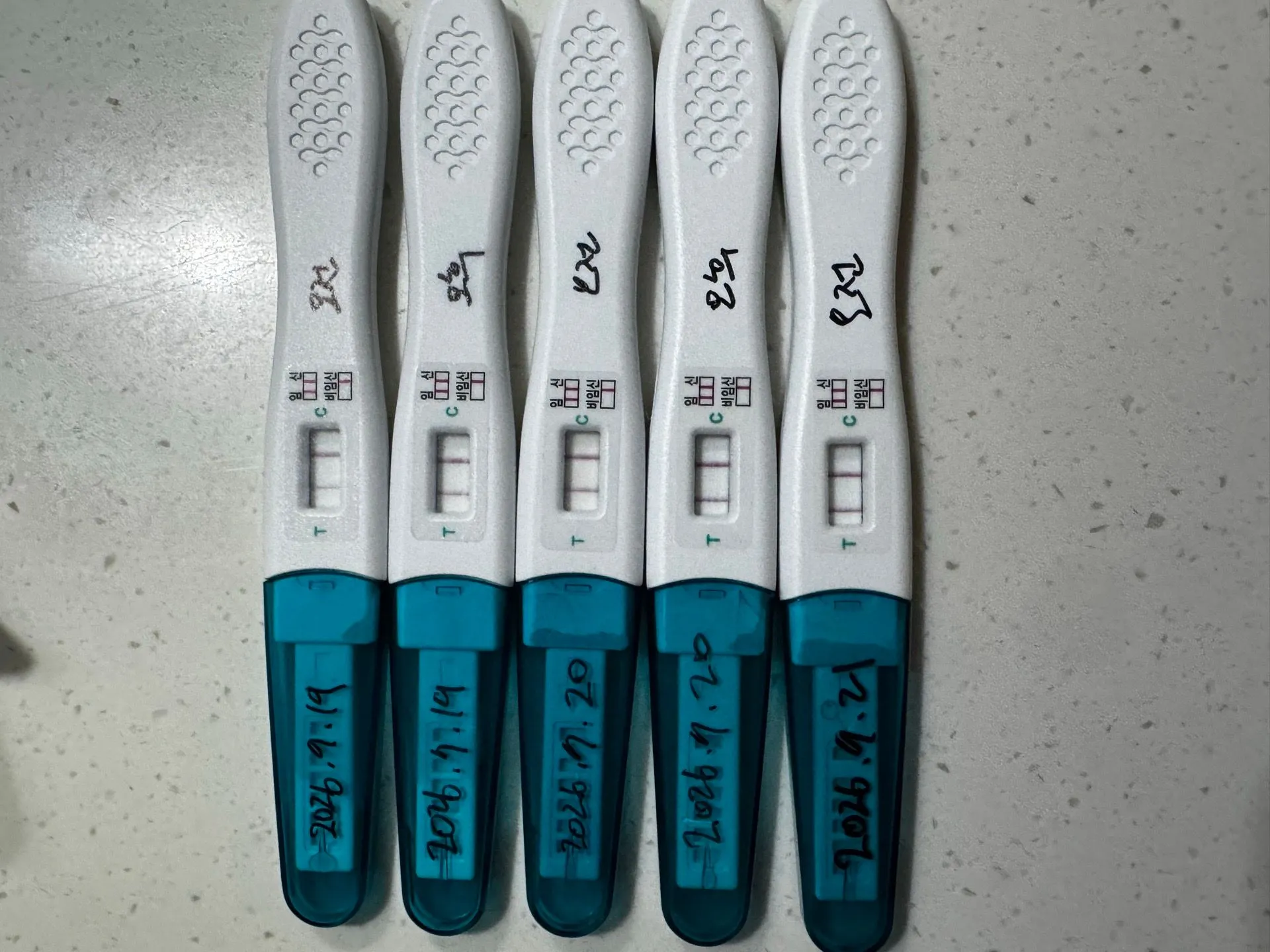 피검수치