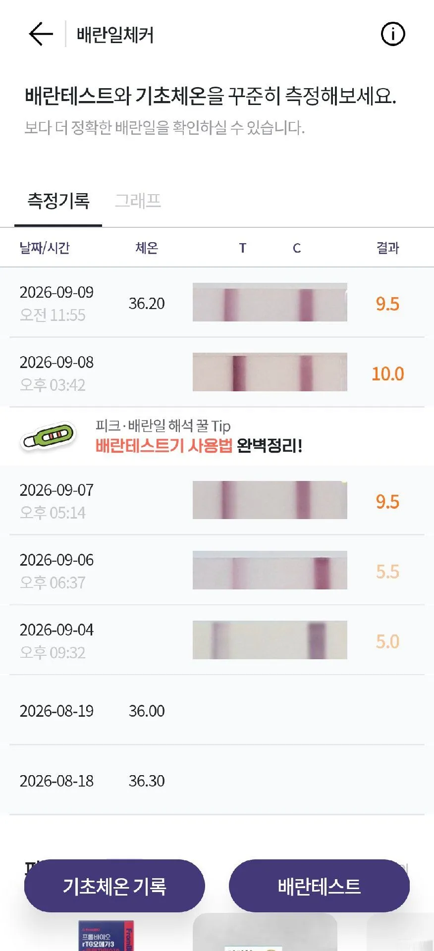 배란일 도대체 언제일까요 !!