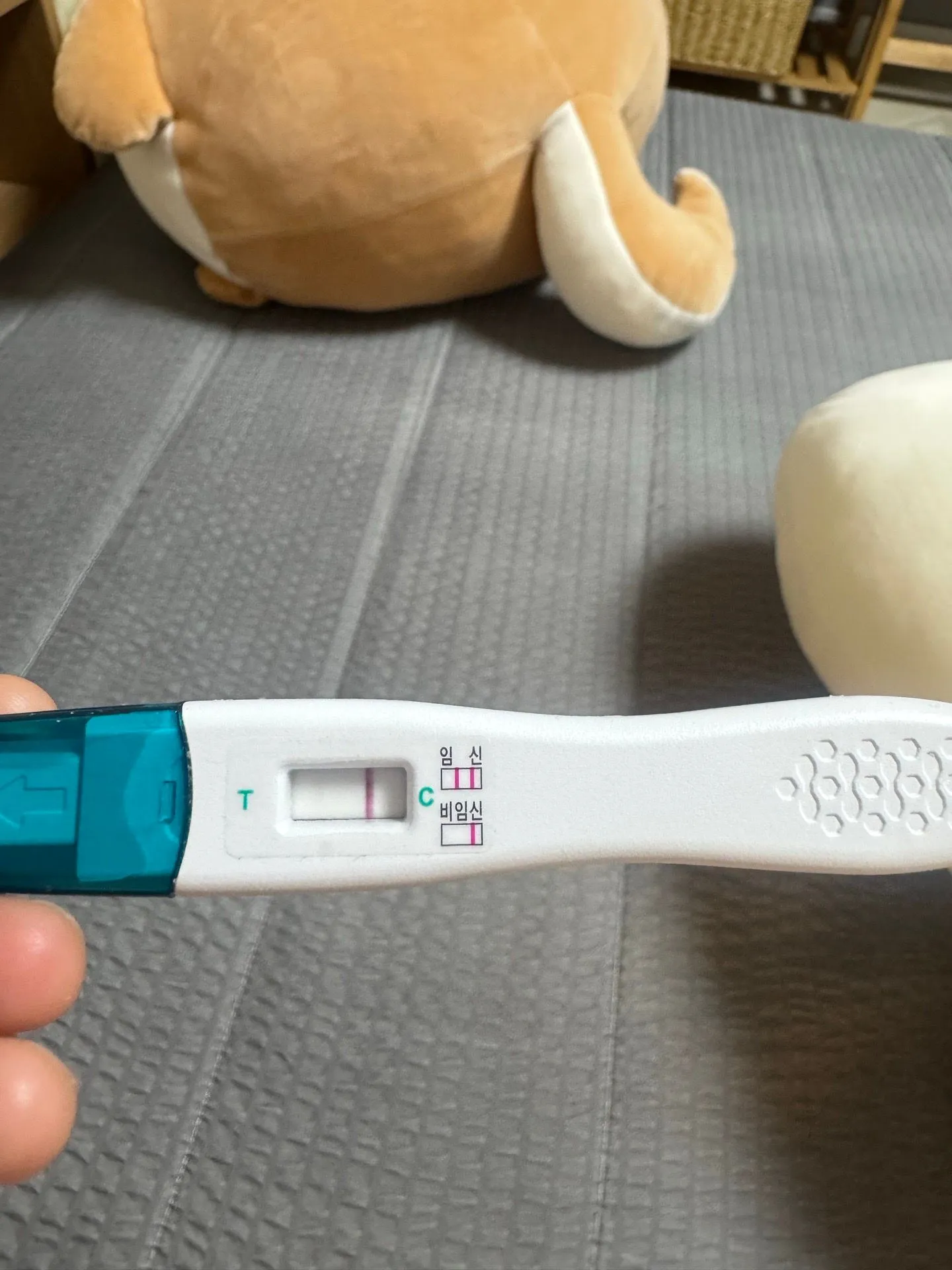 두줄인가여