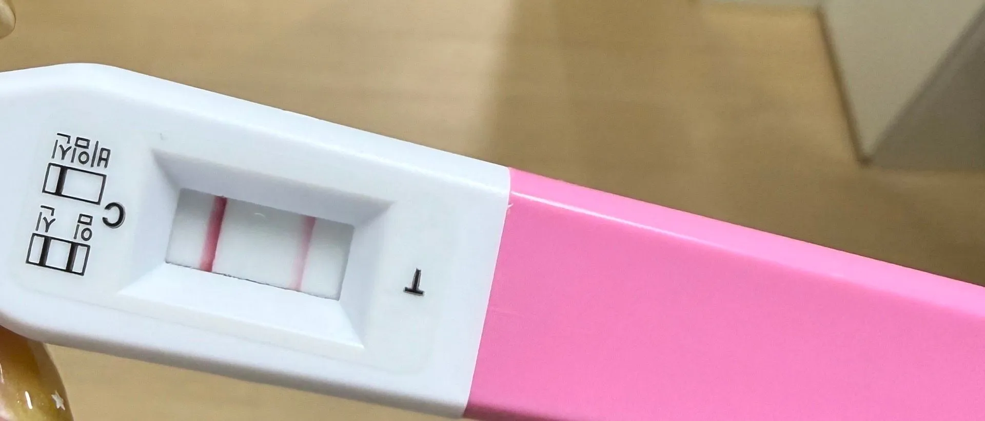 이거 임신 맞을까요!?