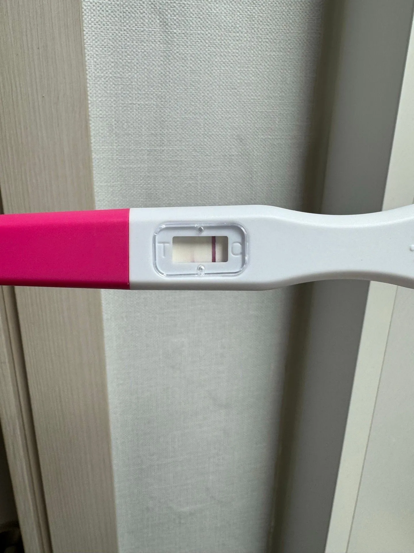 시약선일까요..?