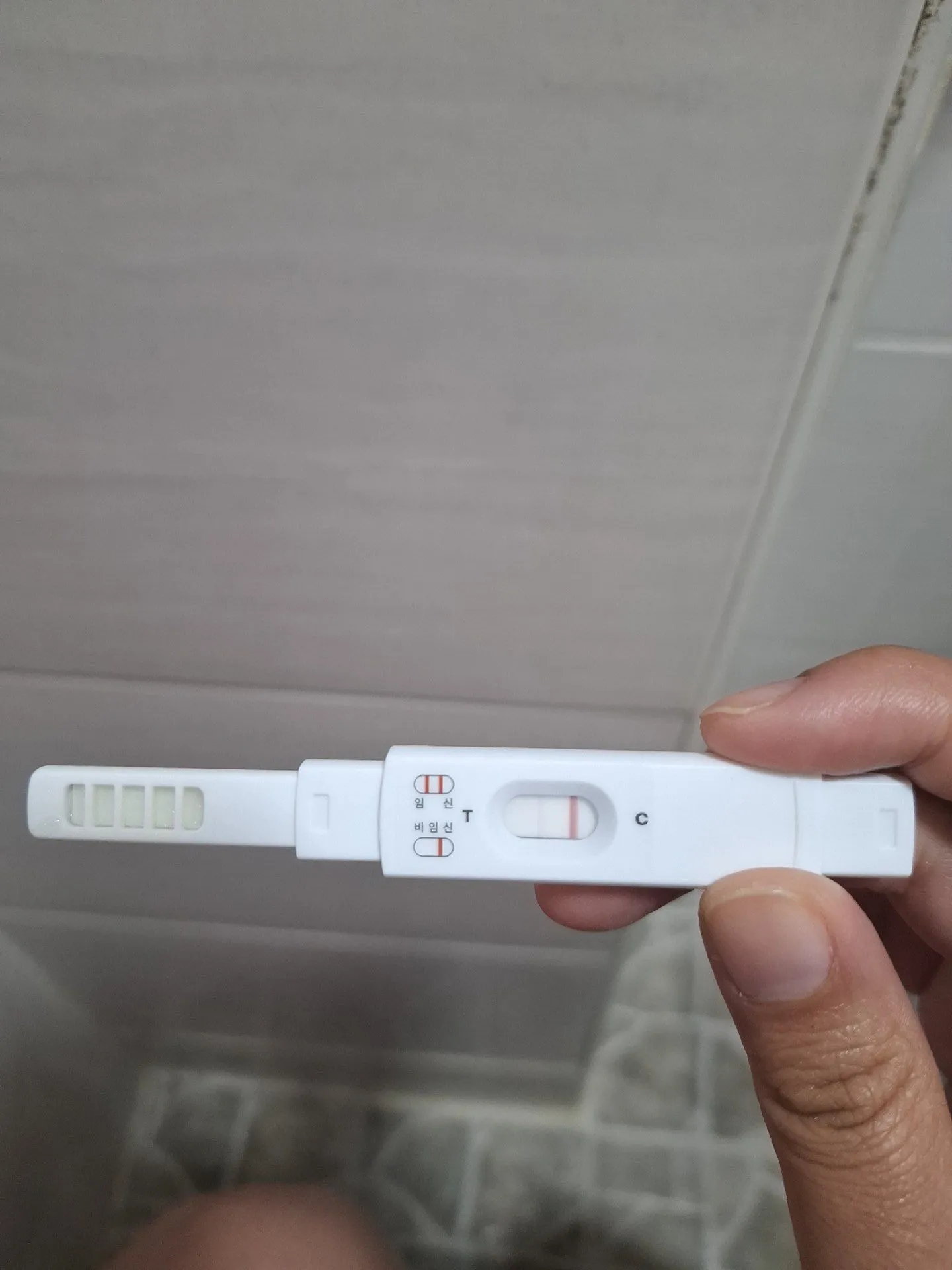 매직아이일까요? 임신일까요? 2