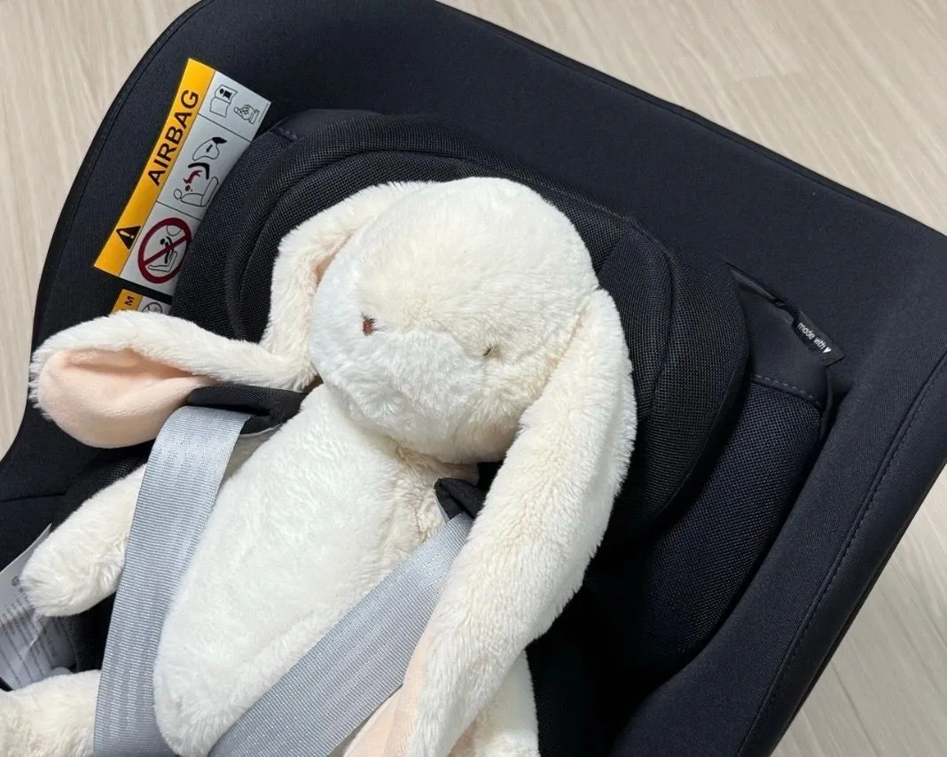 브라이텍스 듀얼픽스 PRO 신생아카시트 추천! 출산 전 미리 준비한 카시트 후기🤍 3