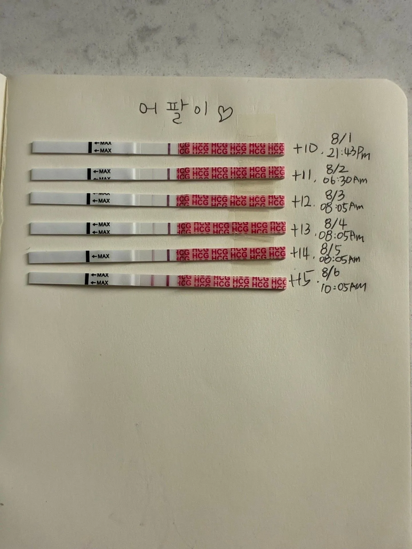 배란15일.. 아기집은 언제쯤...