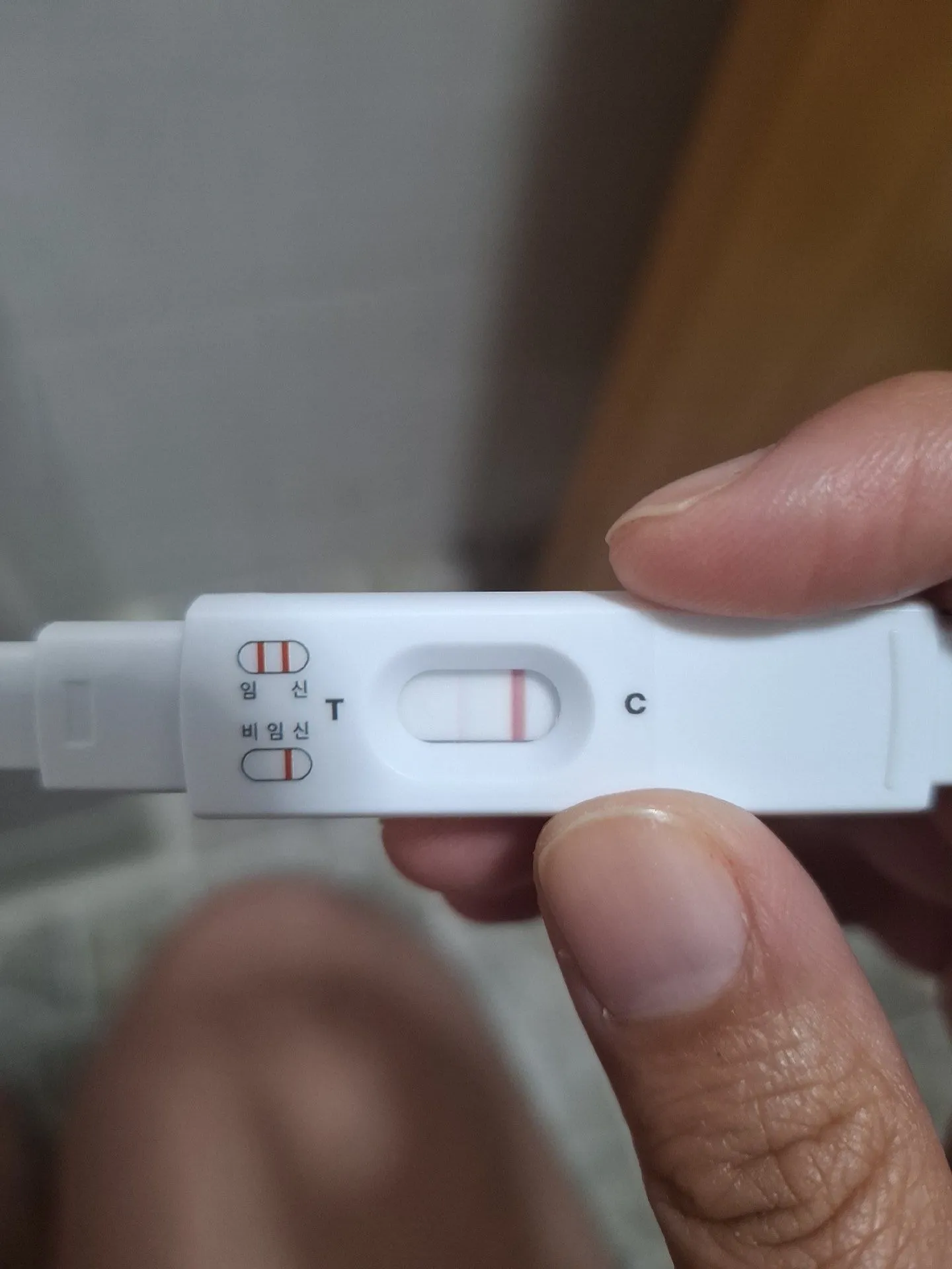 매직아이일까요? 임신일까요? 1