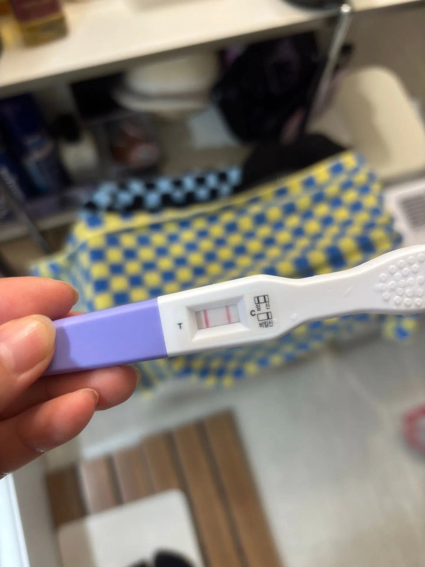 임테기 두줄 임신이확실한가요? 3