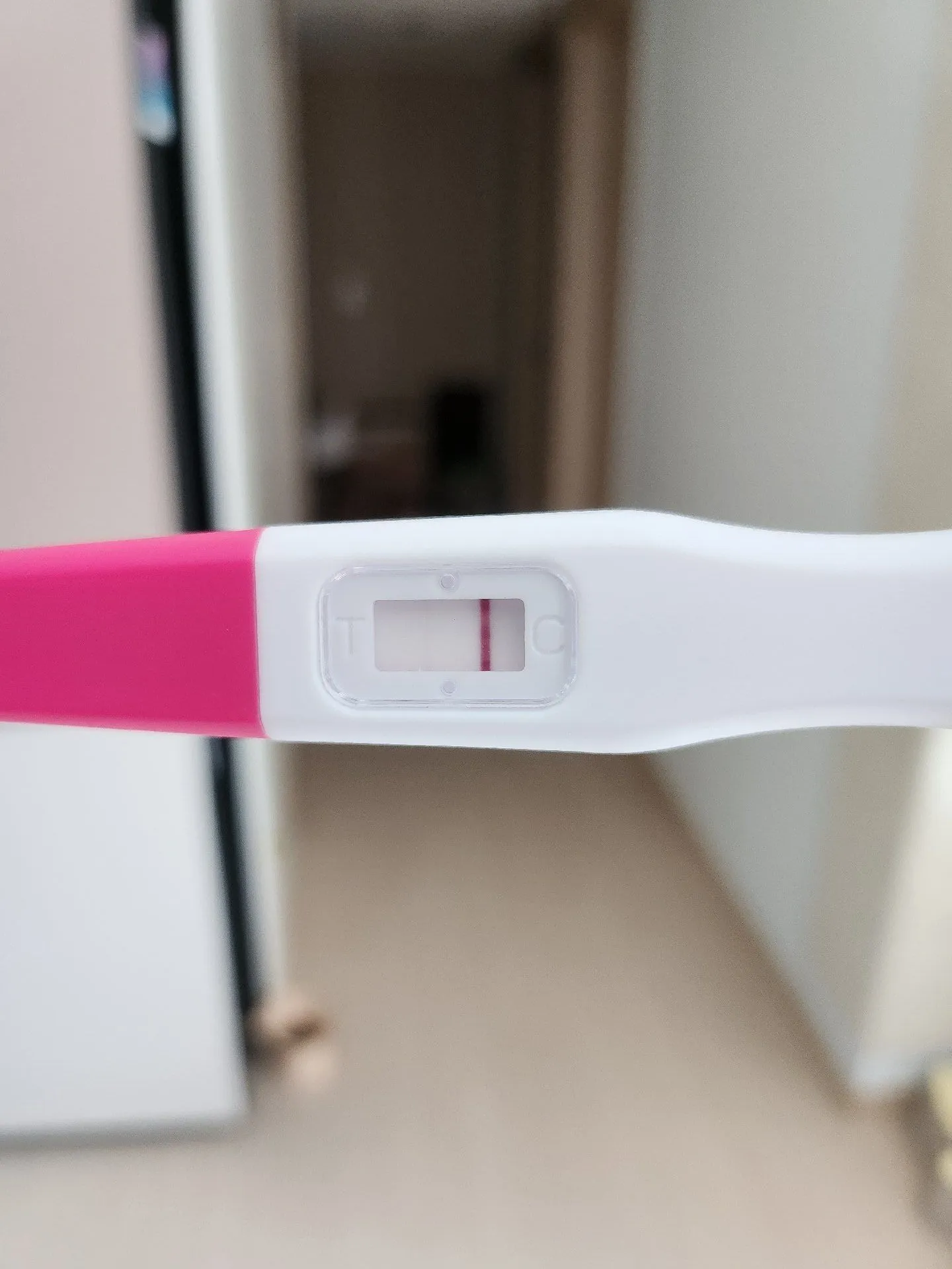얼리테스트기 봐주세요!!! 1