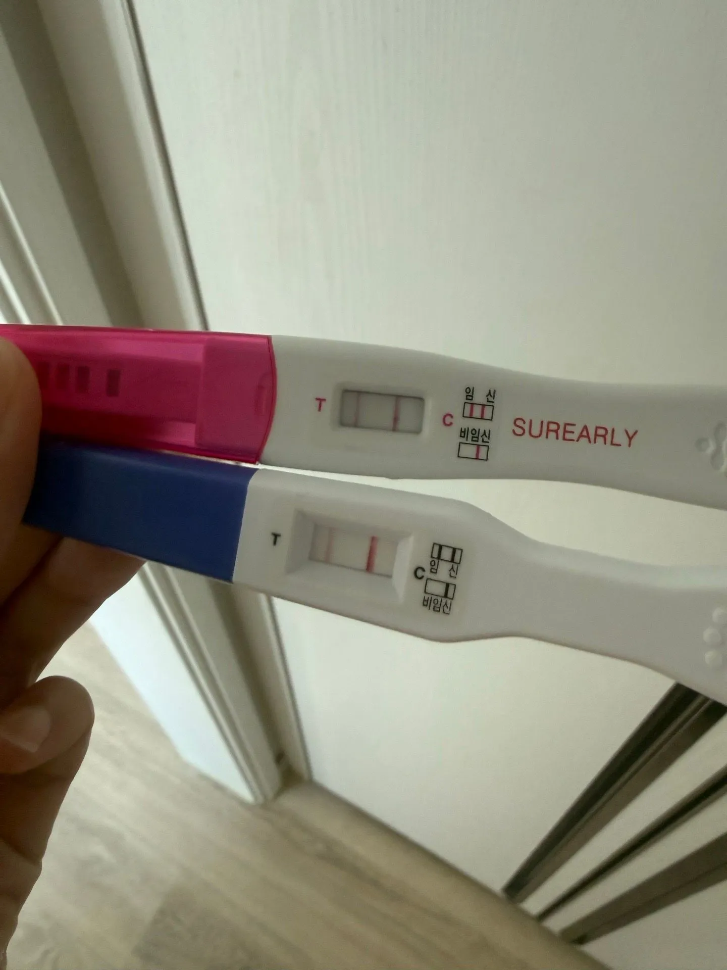 오늘 테스트기 두줄 해외여행 1