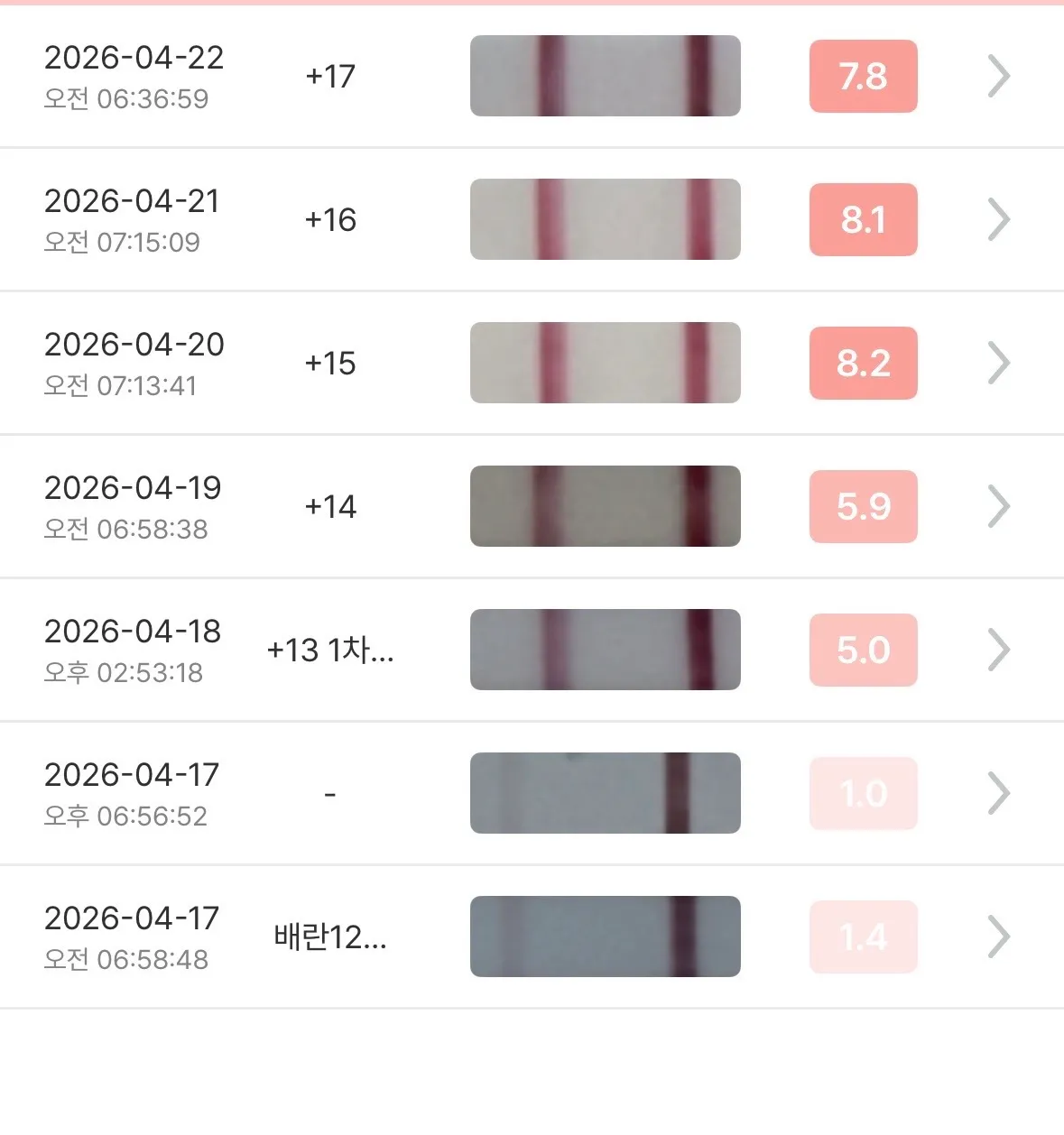 오늘2차피검입니다! 