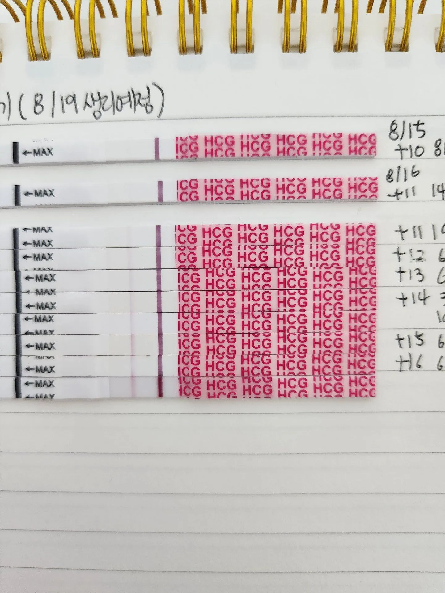 임테기 진하기 봐주세요! 1
