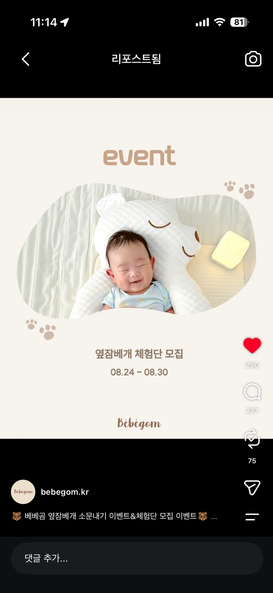옆잠배게 베베곰