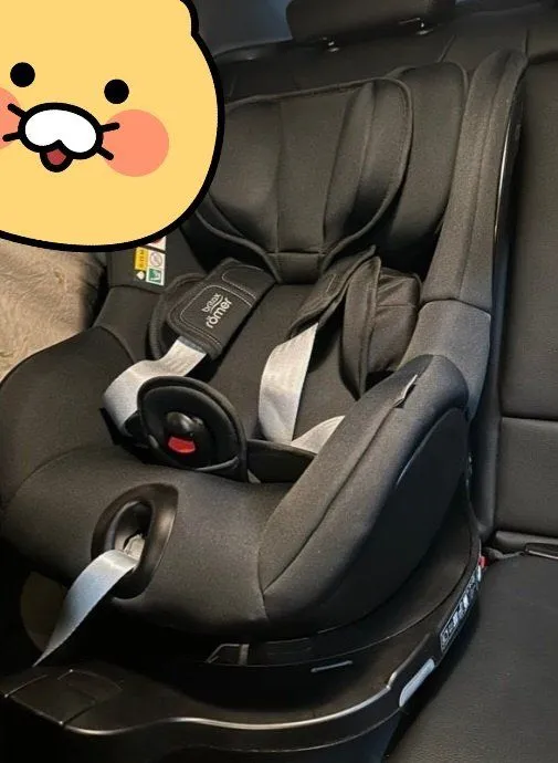 브라이텍스 듀얼픽스 프로 설치 후기