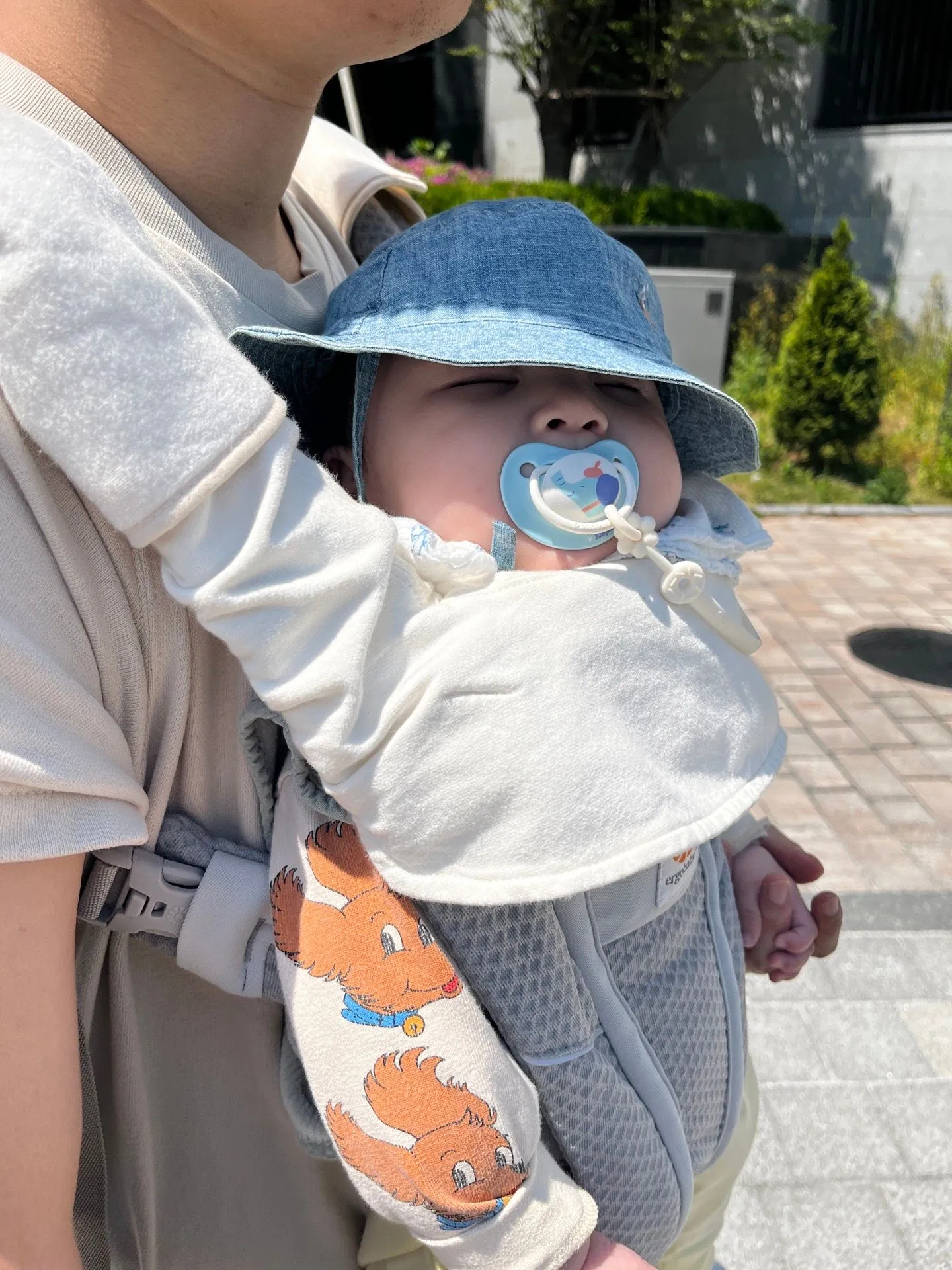 아기띠에서 푹 자는 아기