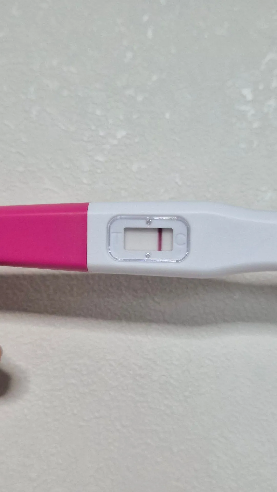 배란 10일차 희미하게 보이는 거 같은데 참견 부탁드려요오 1
