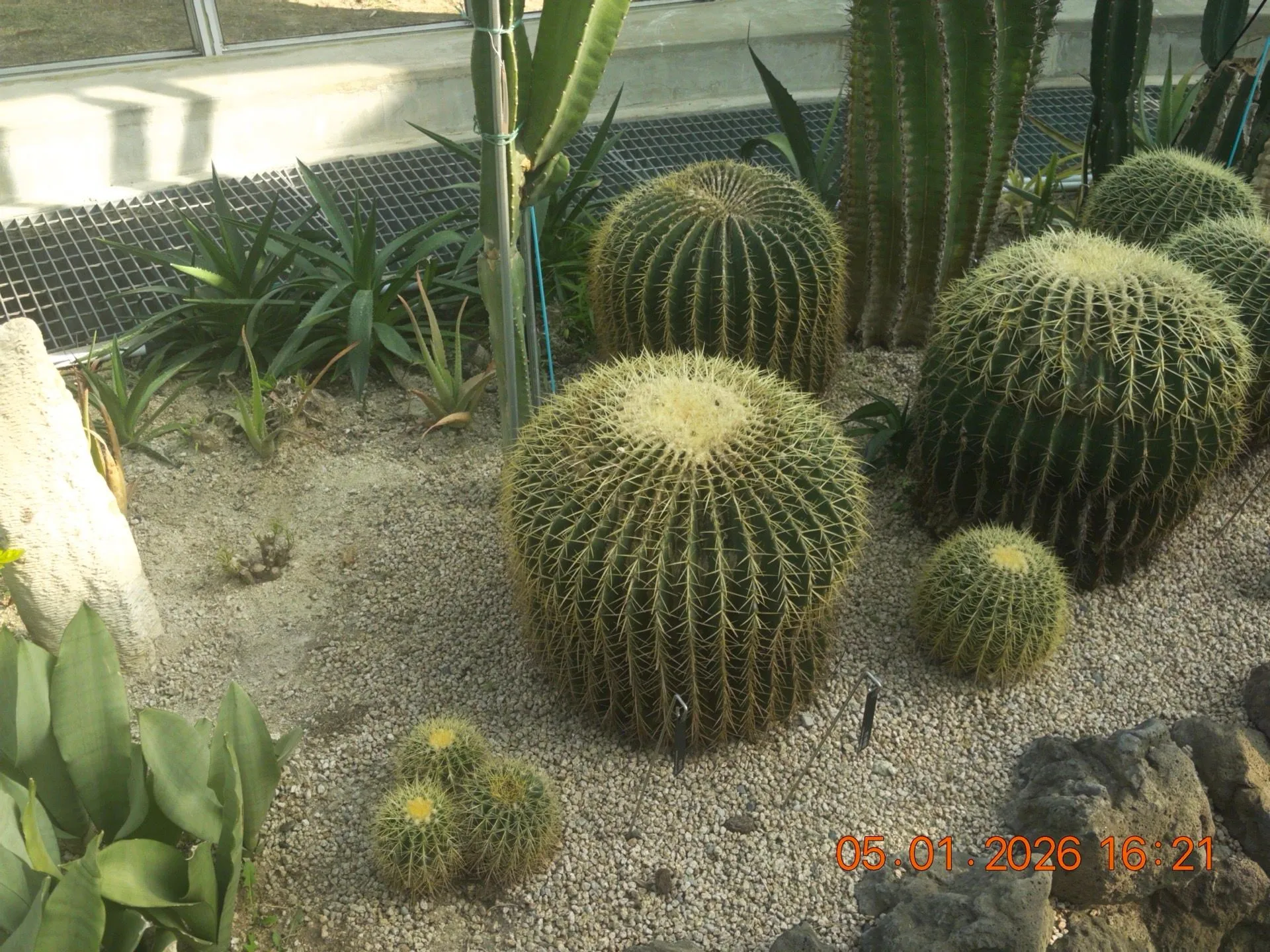 식물원 다녀왔어요~! 2