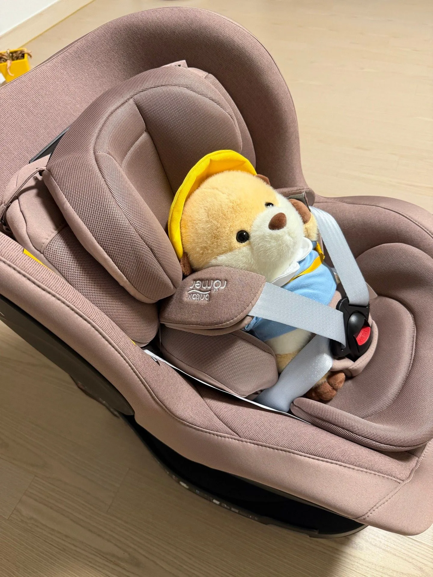 브라이텍스 듀얼픽스 프로 내돈내산구매 5