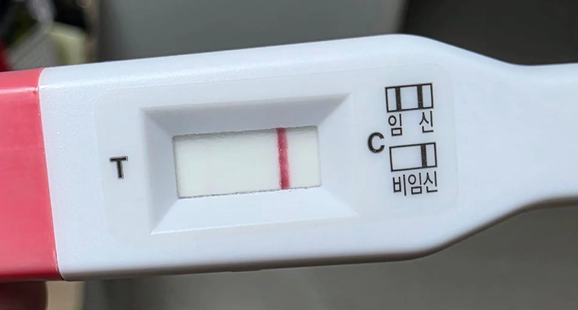 보이시나요? 2