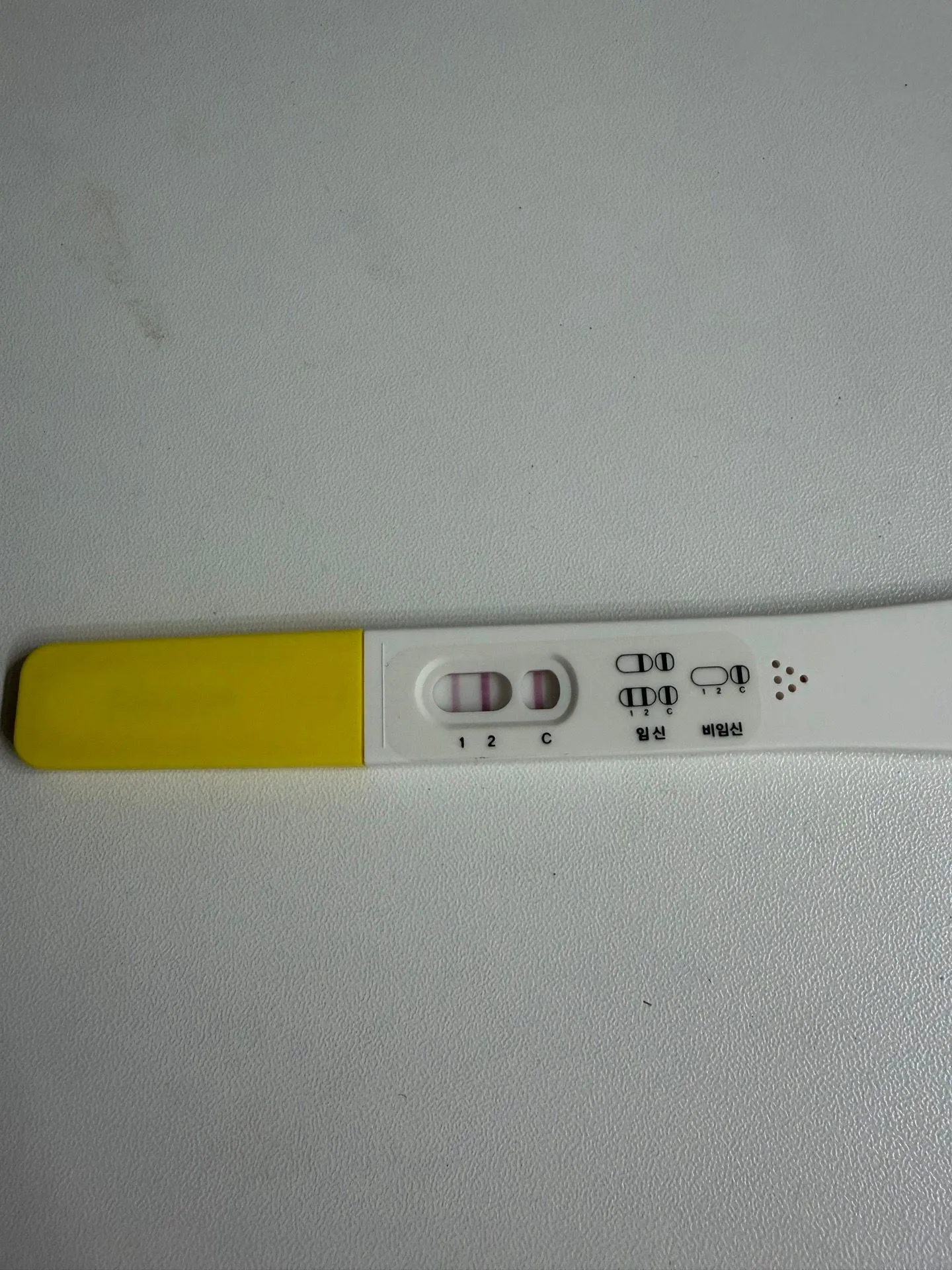 난황보일까요? 