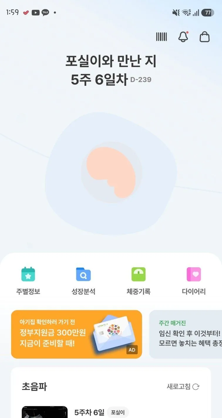 5주6일 2