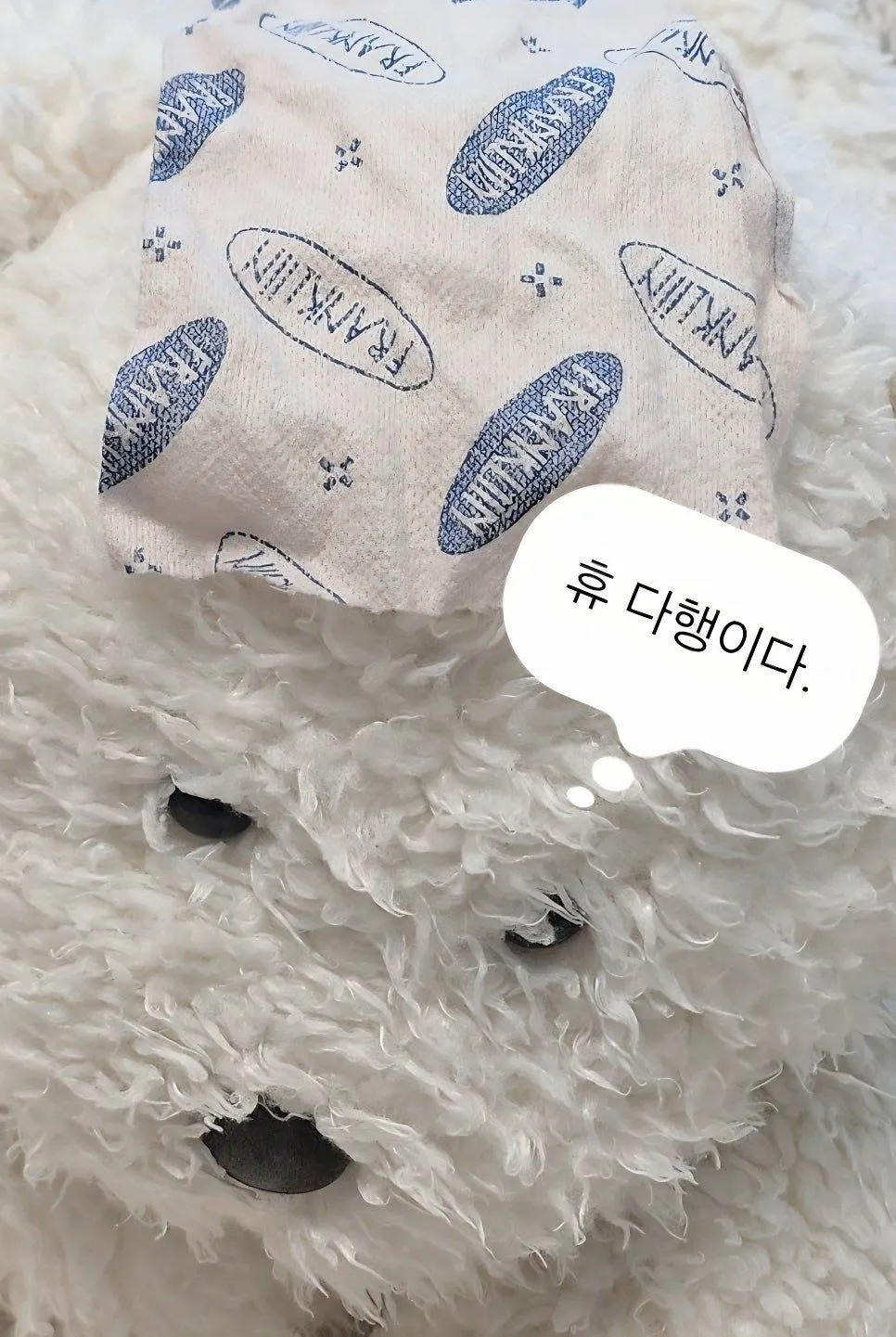 프랭클린 캡슐세제 이염방지필터 | 빠른 육퇴 꿀팁 2