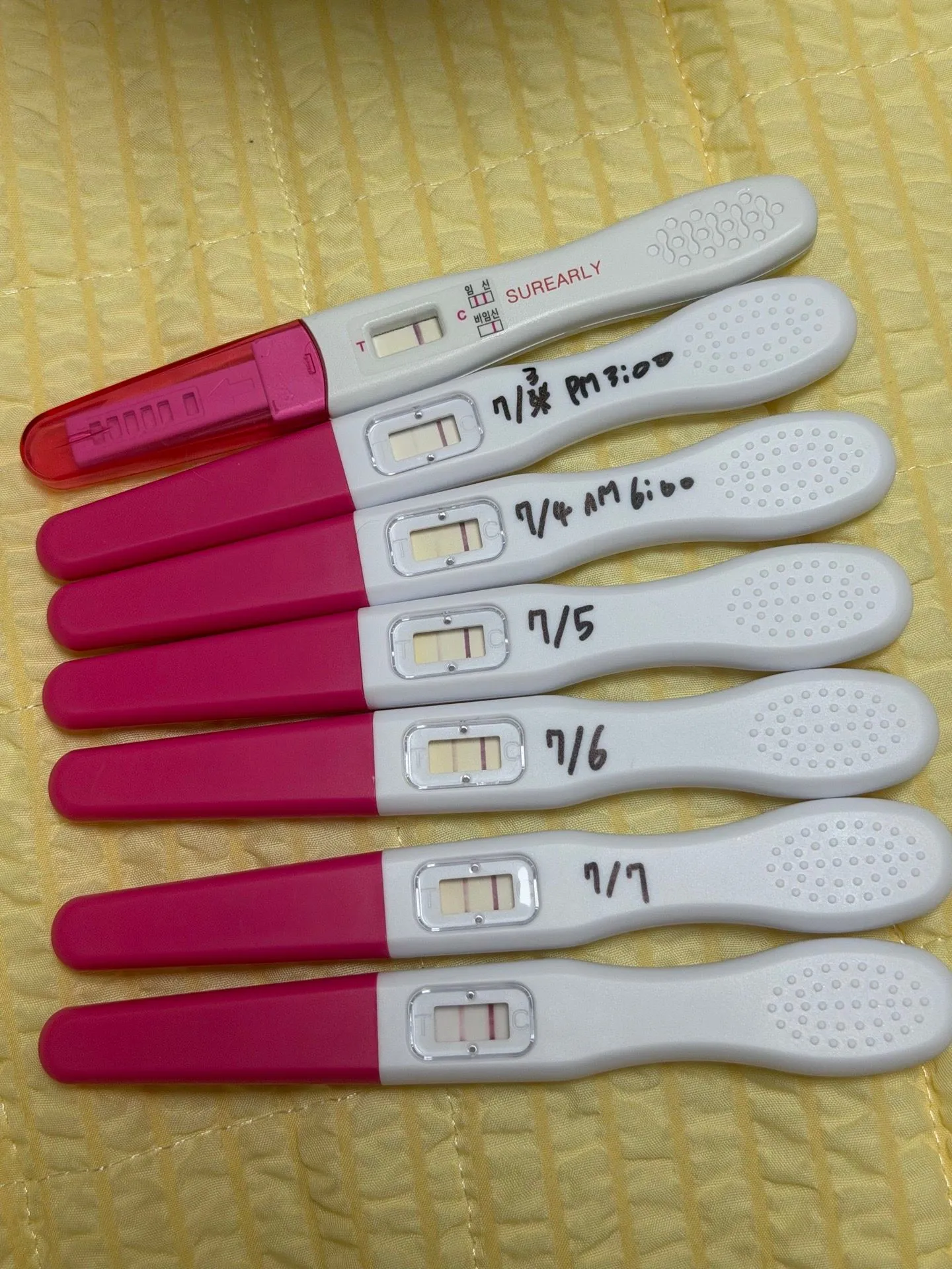 임테기 더블링 봐주세요!! 2
