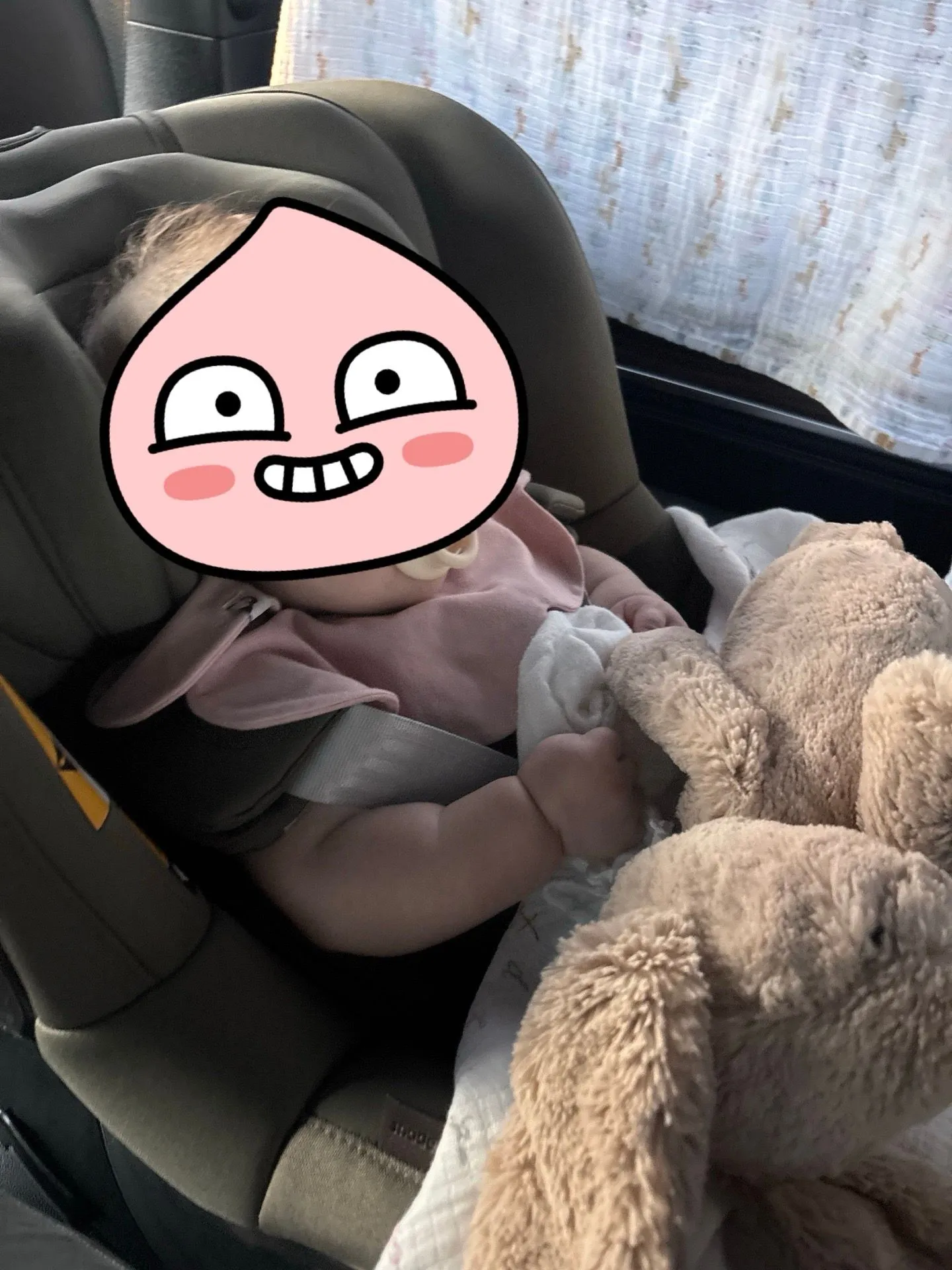브라이텍스 듀얼픽스 프로 신생아 카시트 추천 2