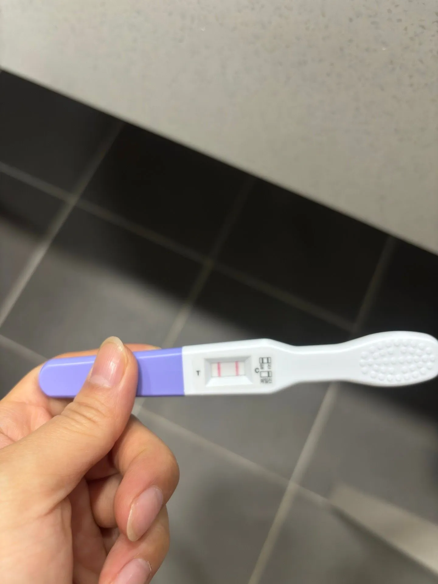 임테기 두줄 임신이확실한가요? 1