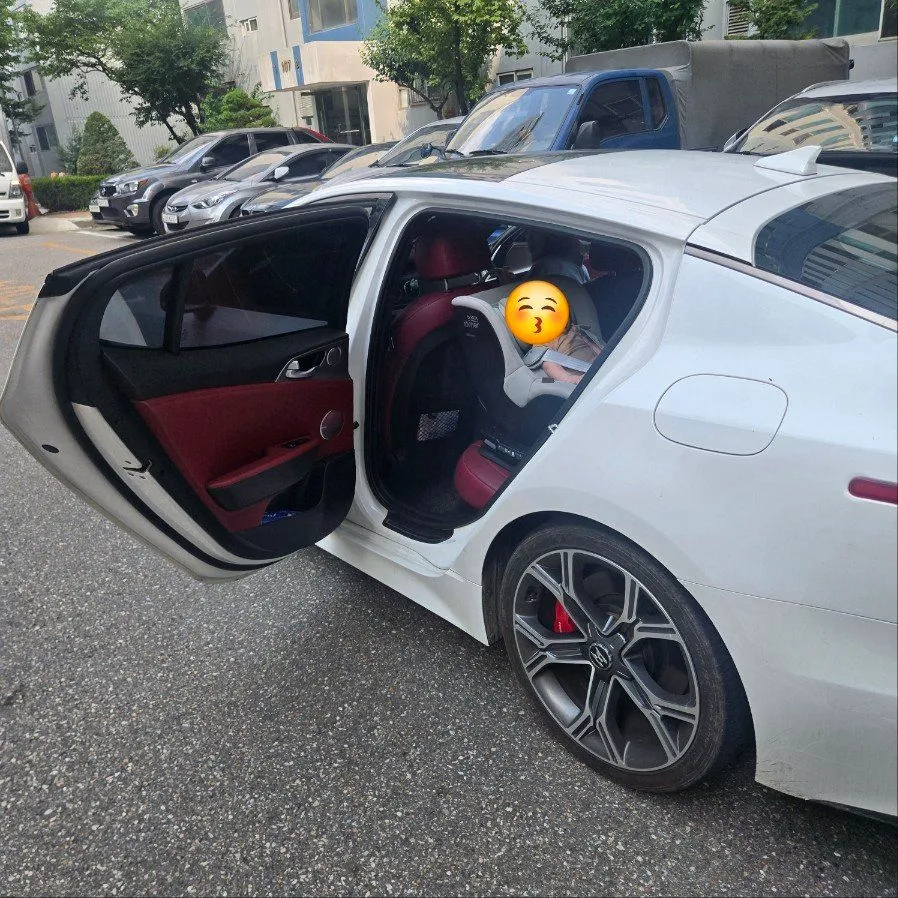 브라이텍스 듀얼픽스 프로 3